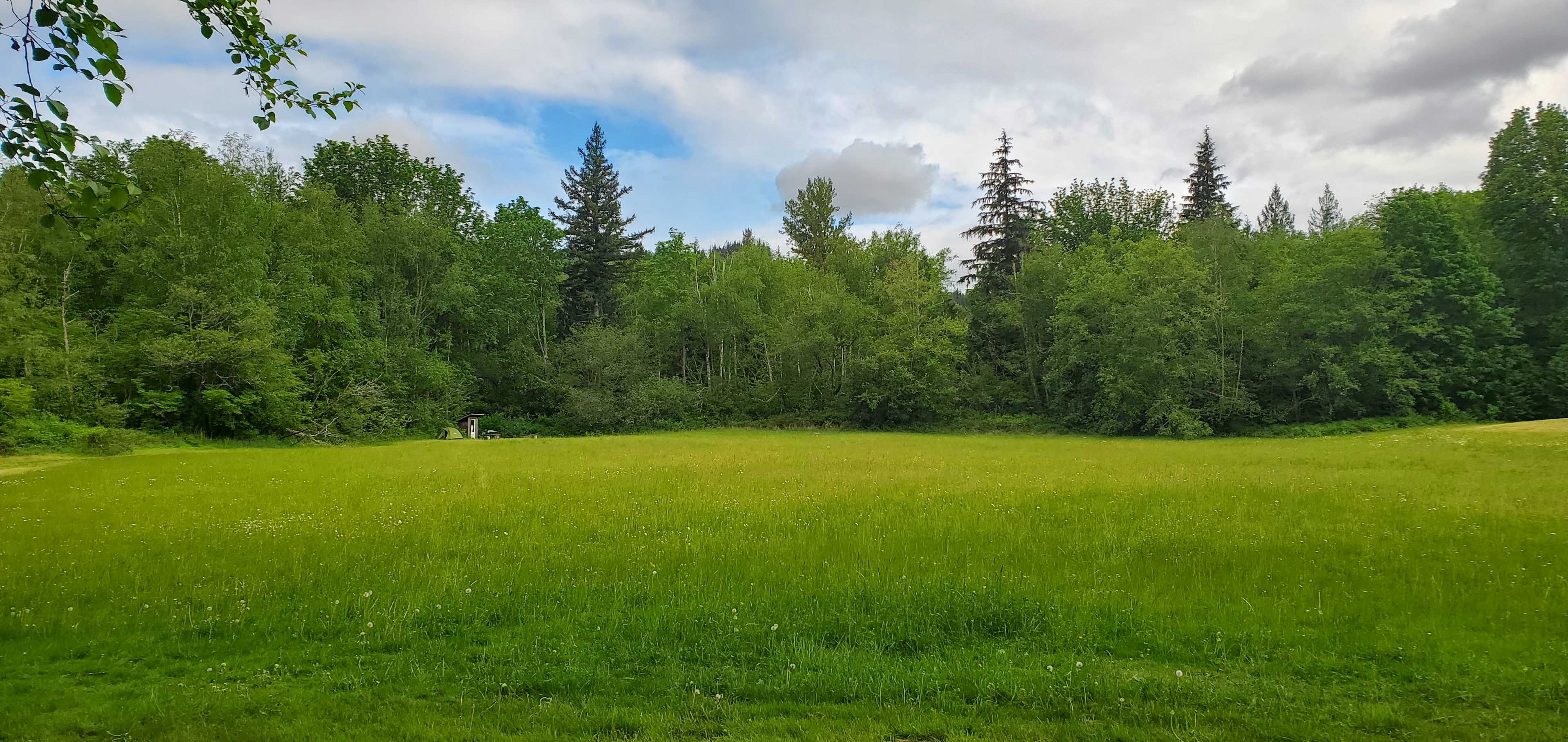 Sweet camping in the field