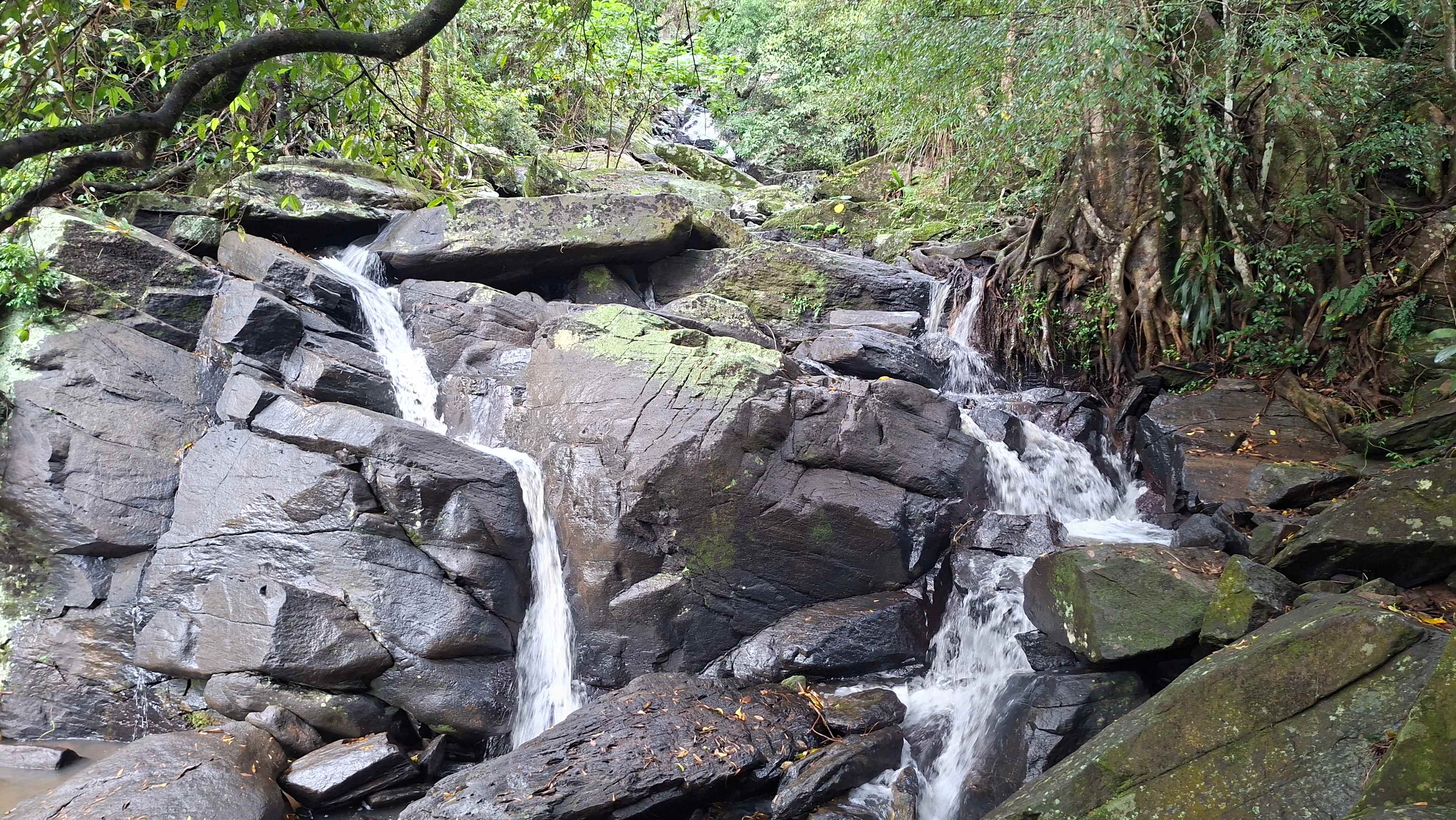 Coorie Vale