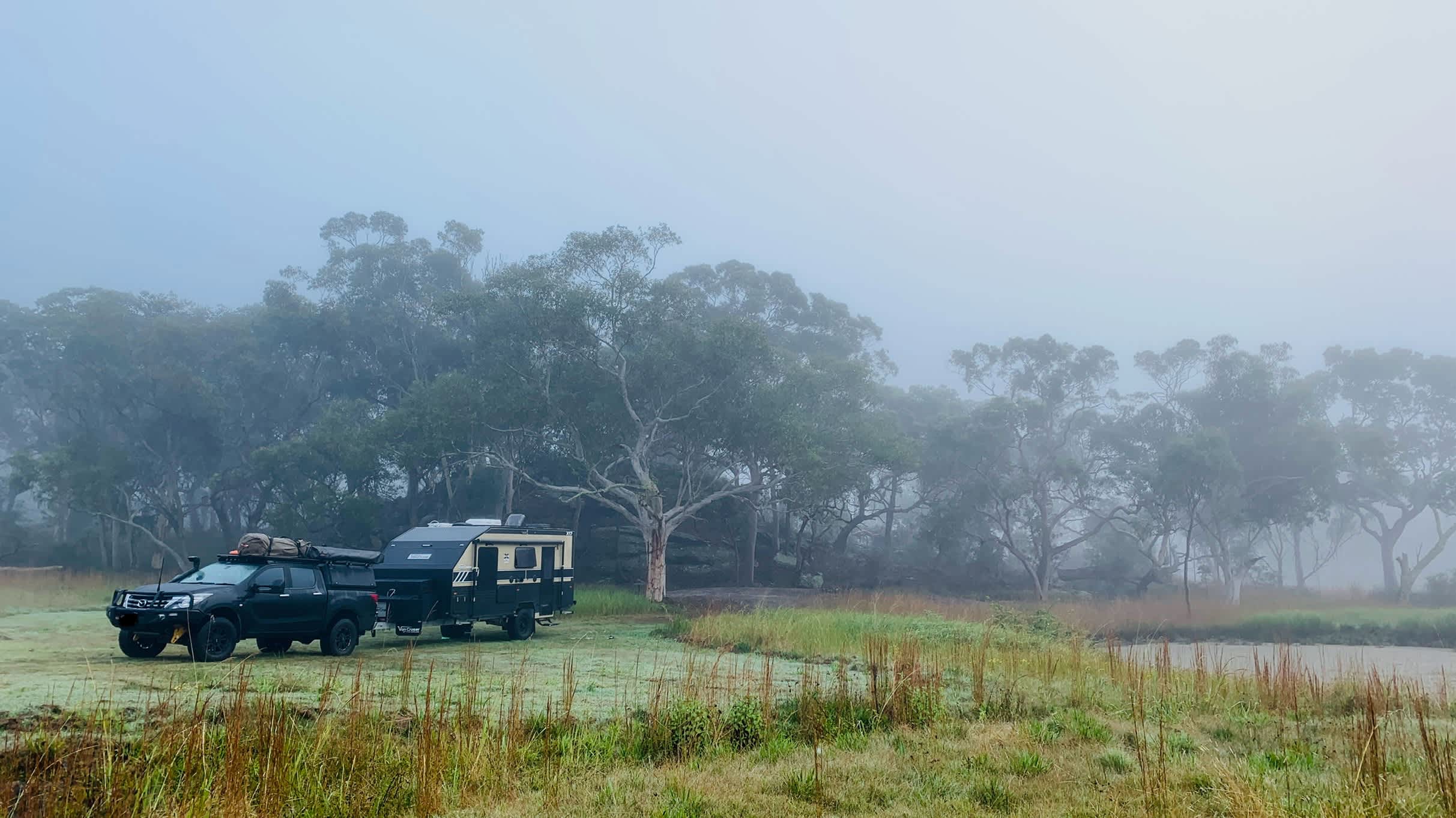 Foggy mornings! 
