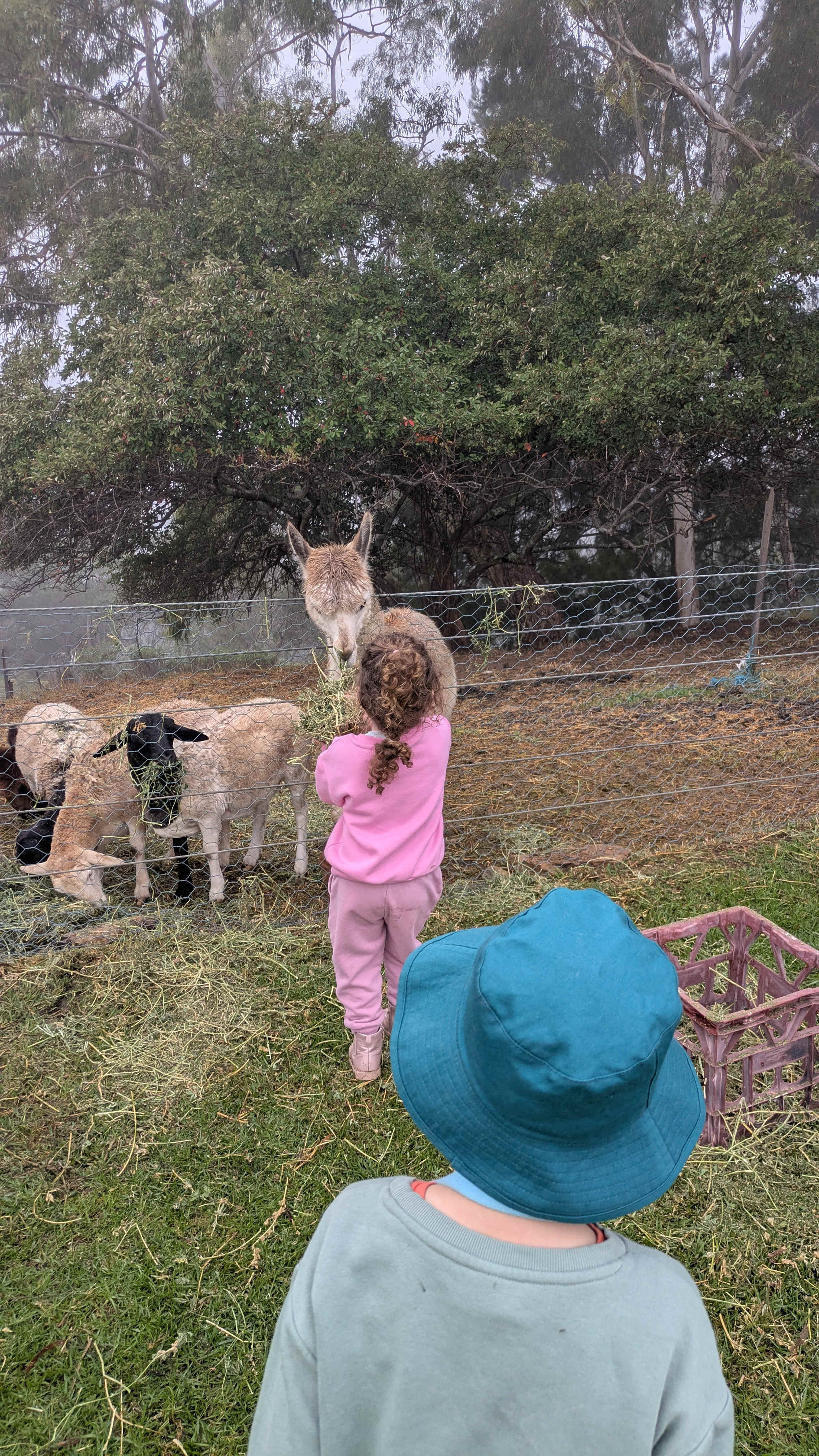 Canoelands Orchard Camping