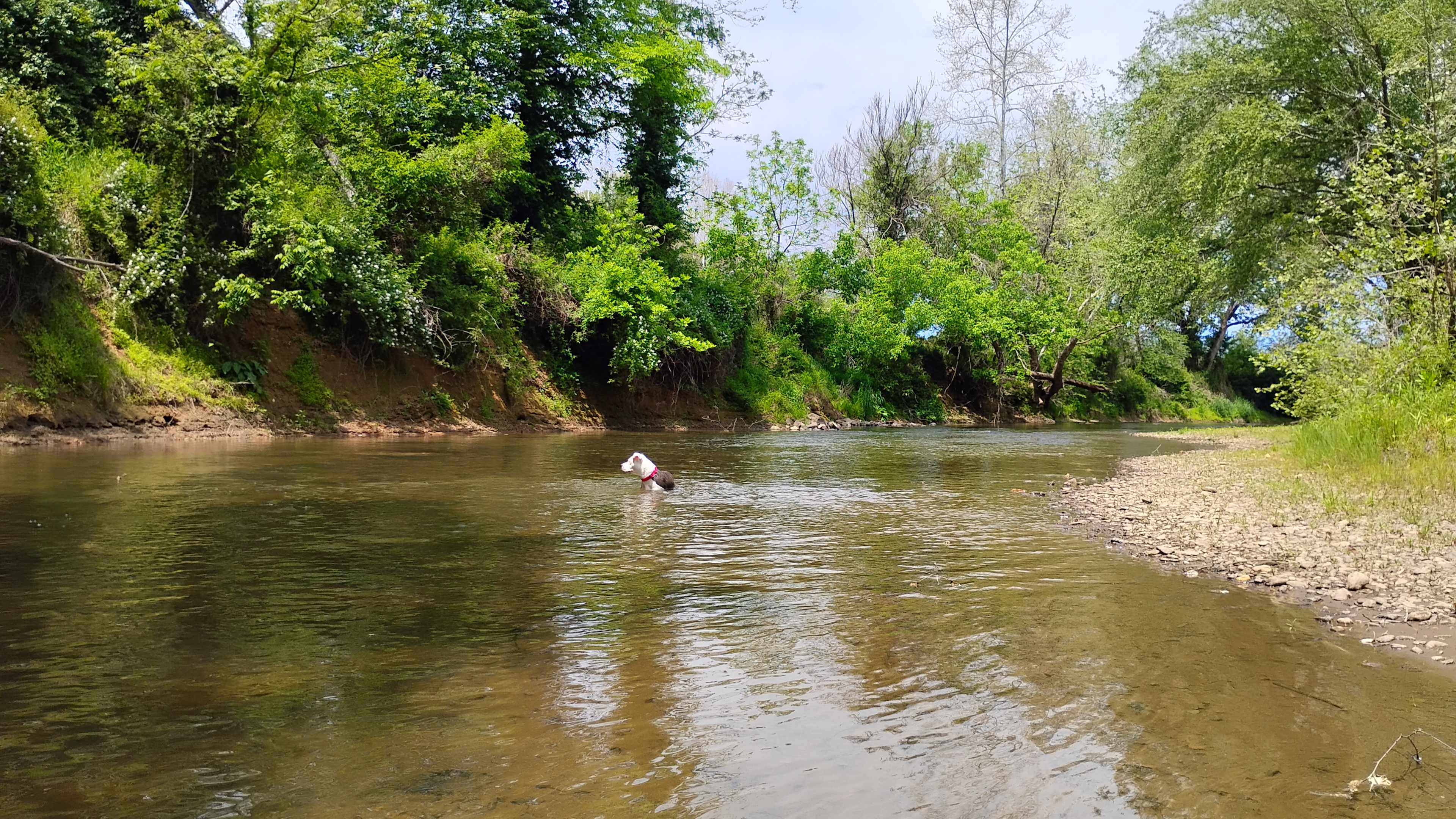 Private Paradise on Rivers Bend
