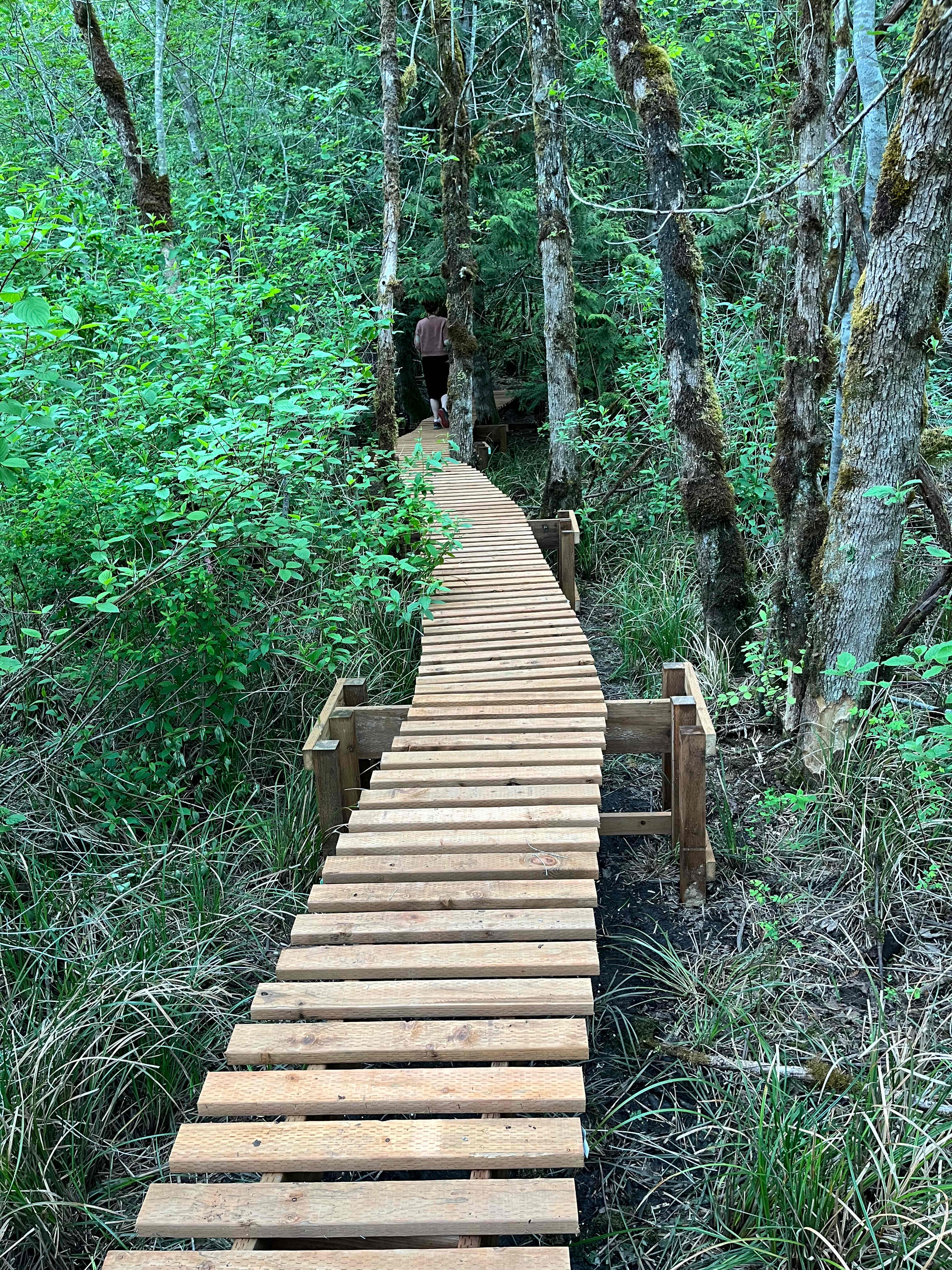 One section of the boardwalks