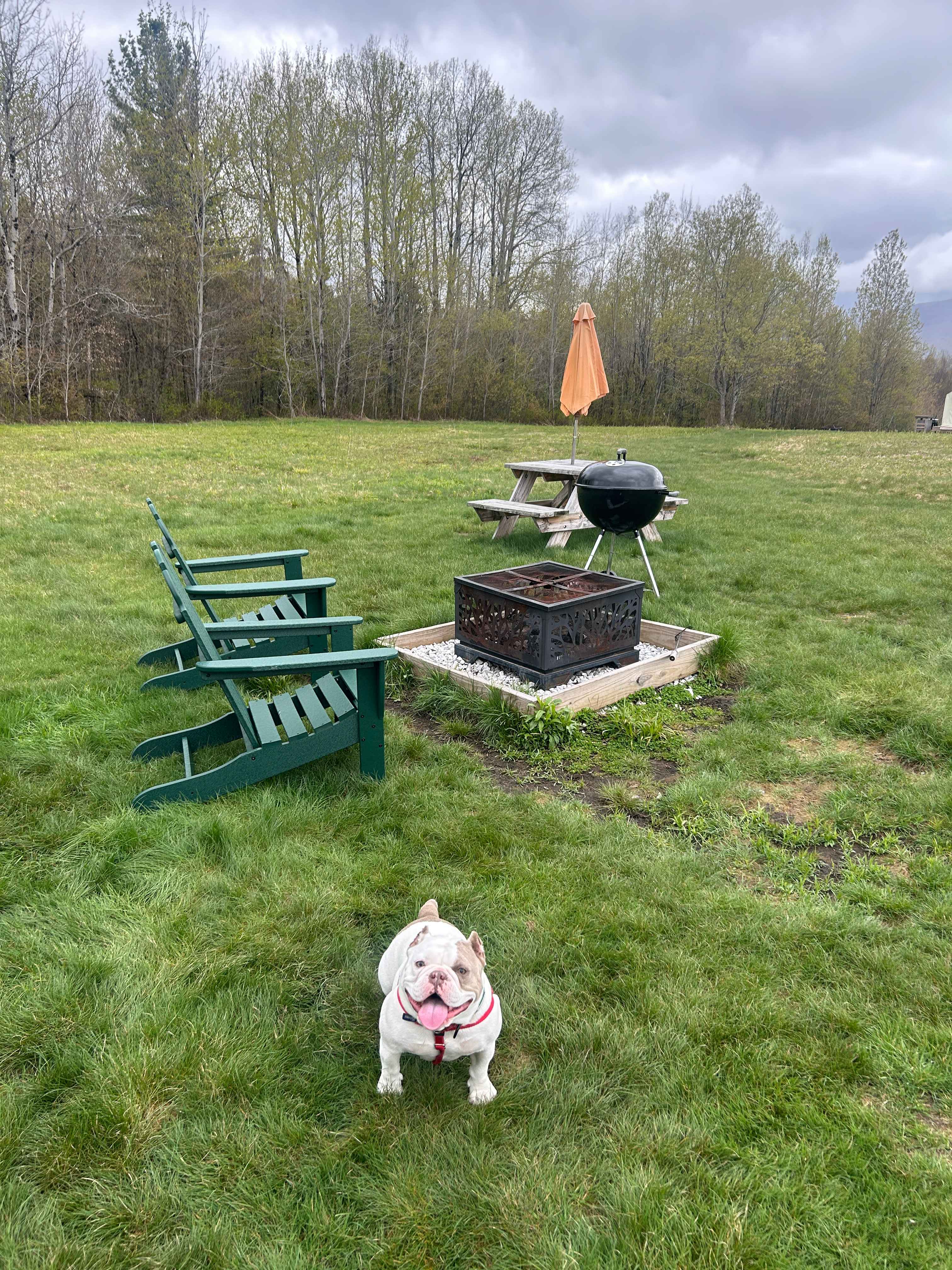 Grateful Acres Vermont