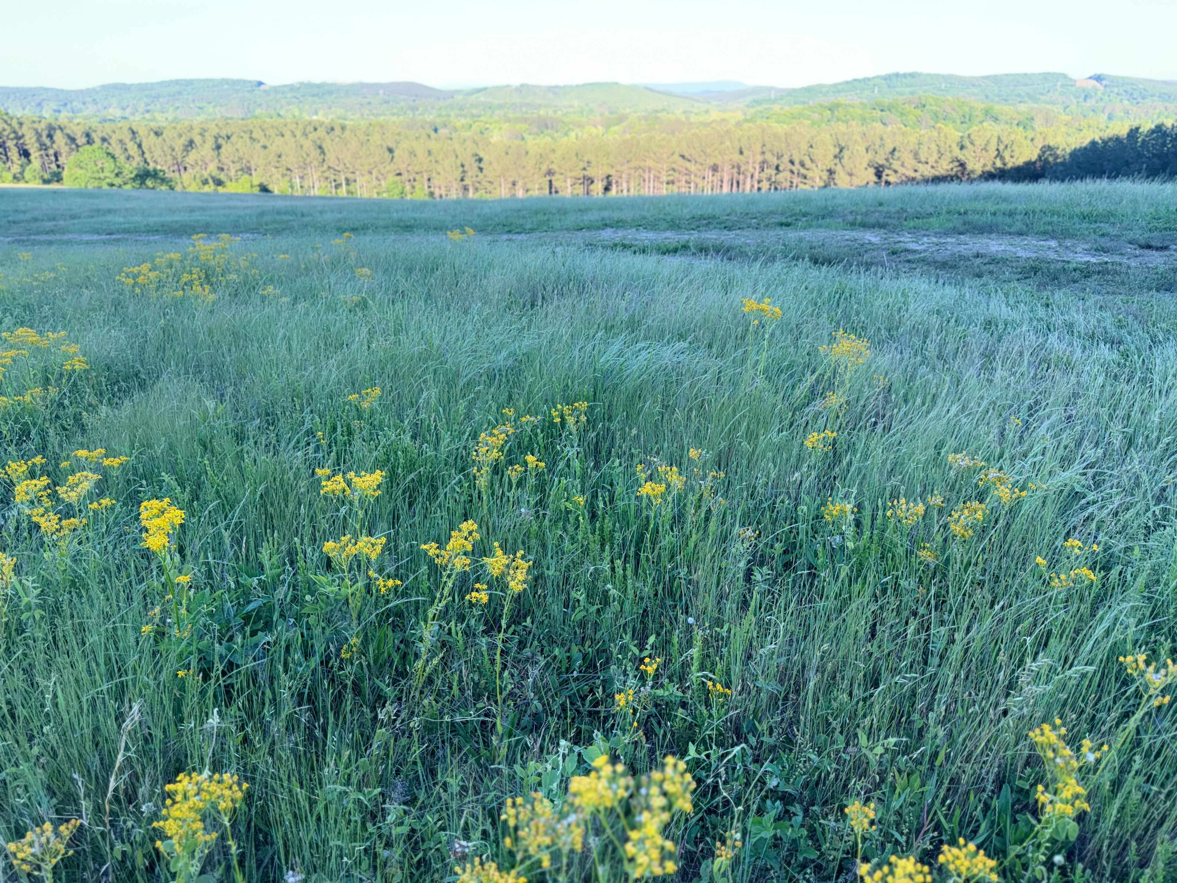 Eads Bluff Farm