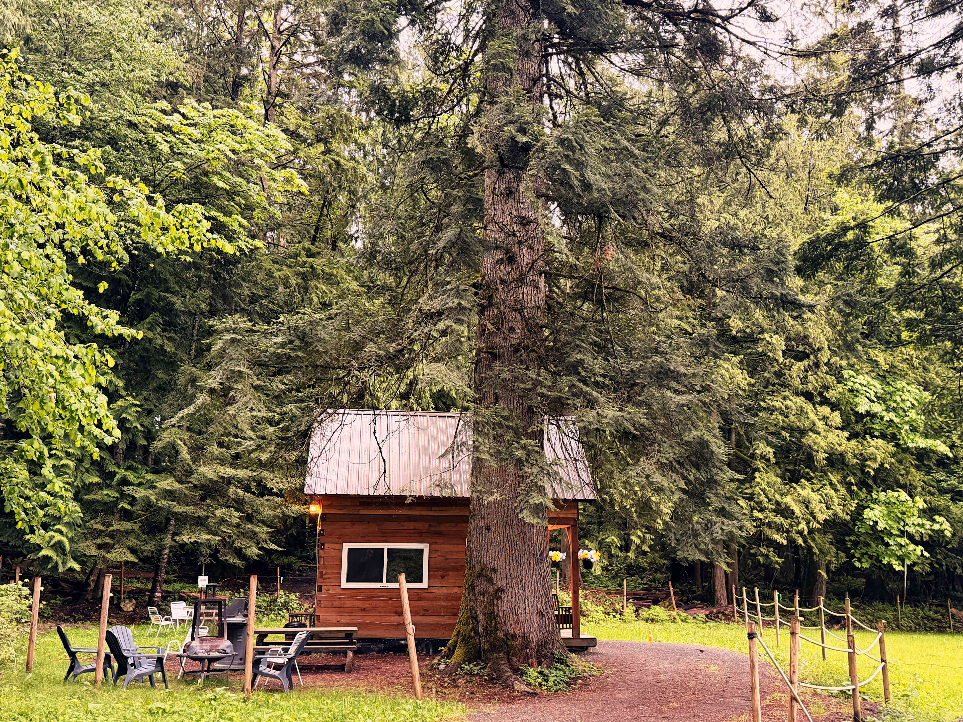 Lakewood Cabins