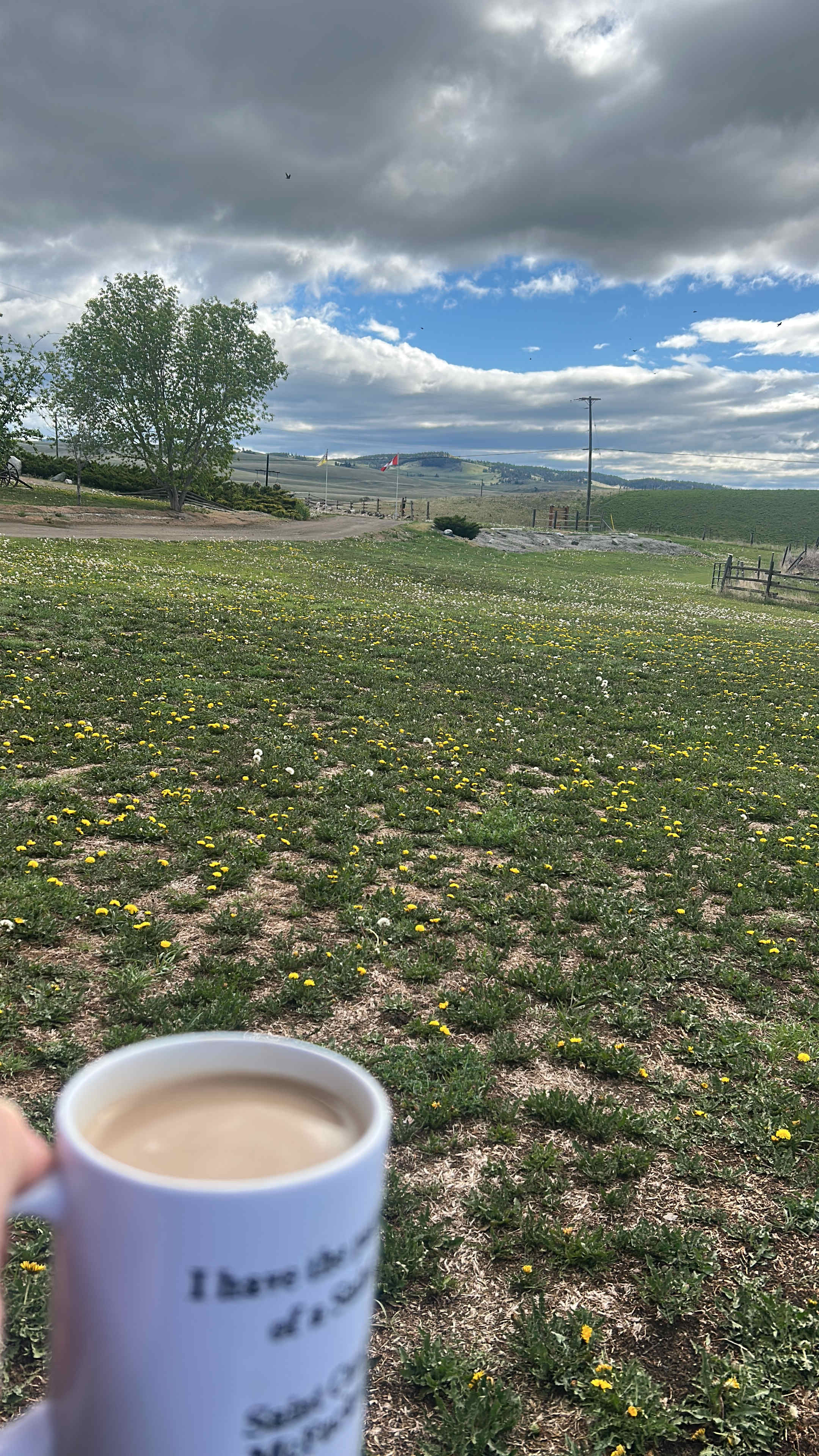 Grandview Acres