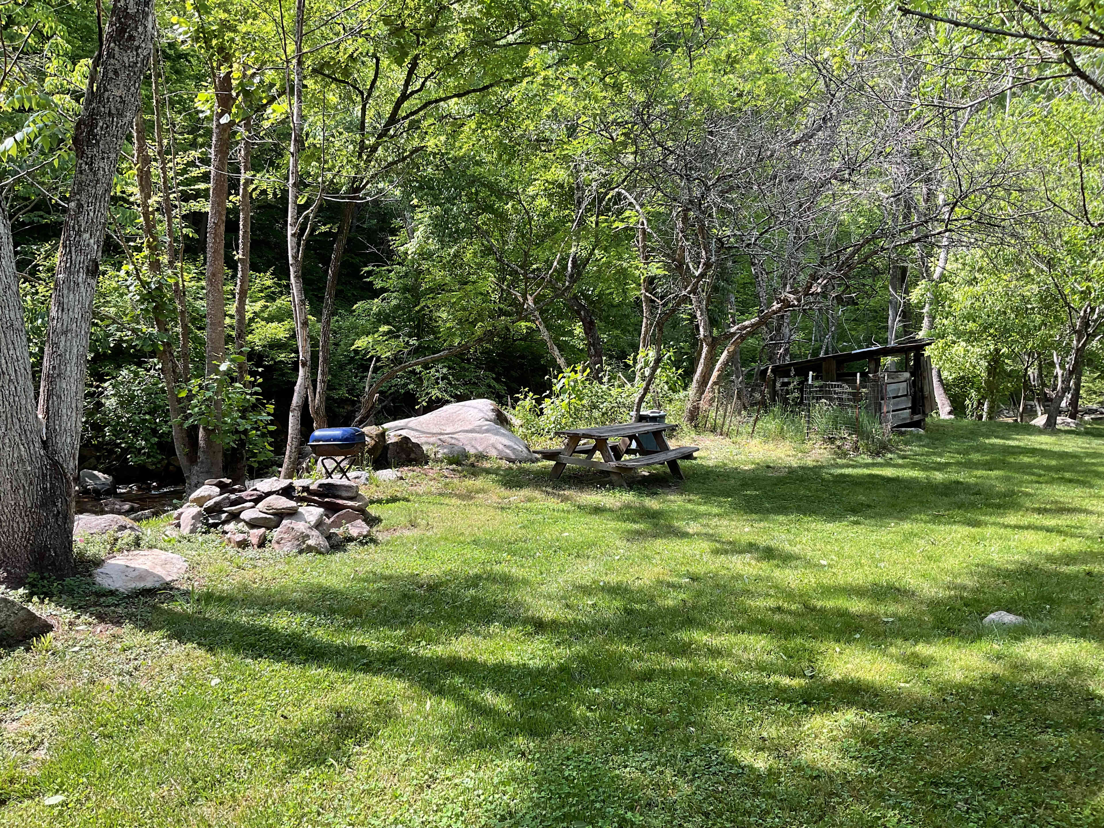 Picture of the site