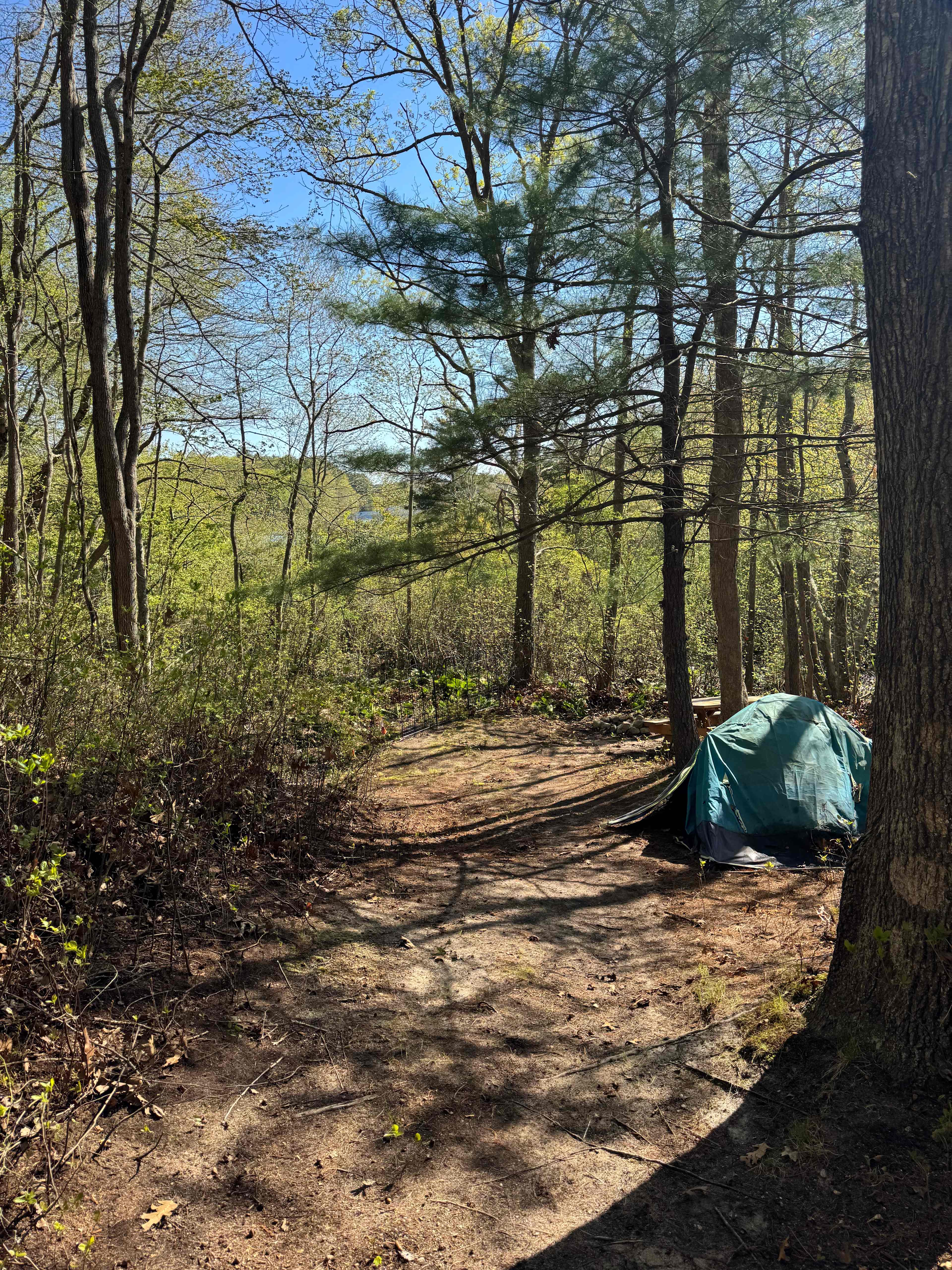 Picture of the site