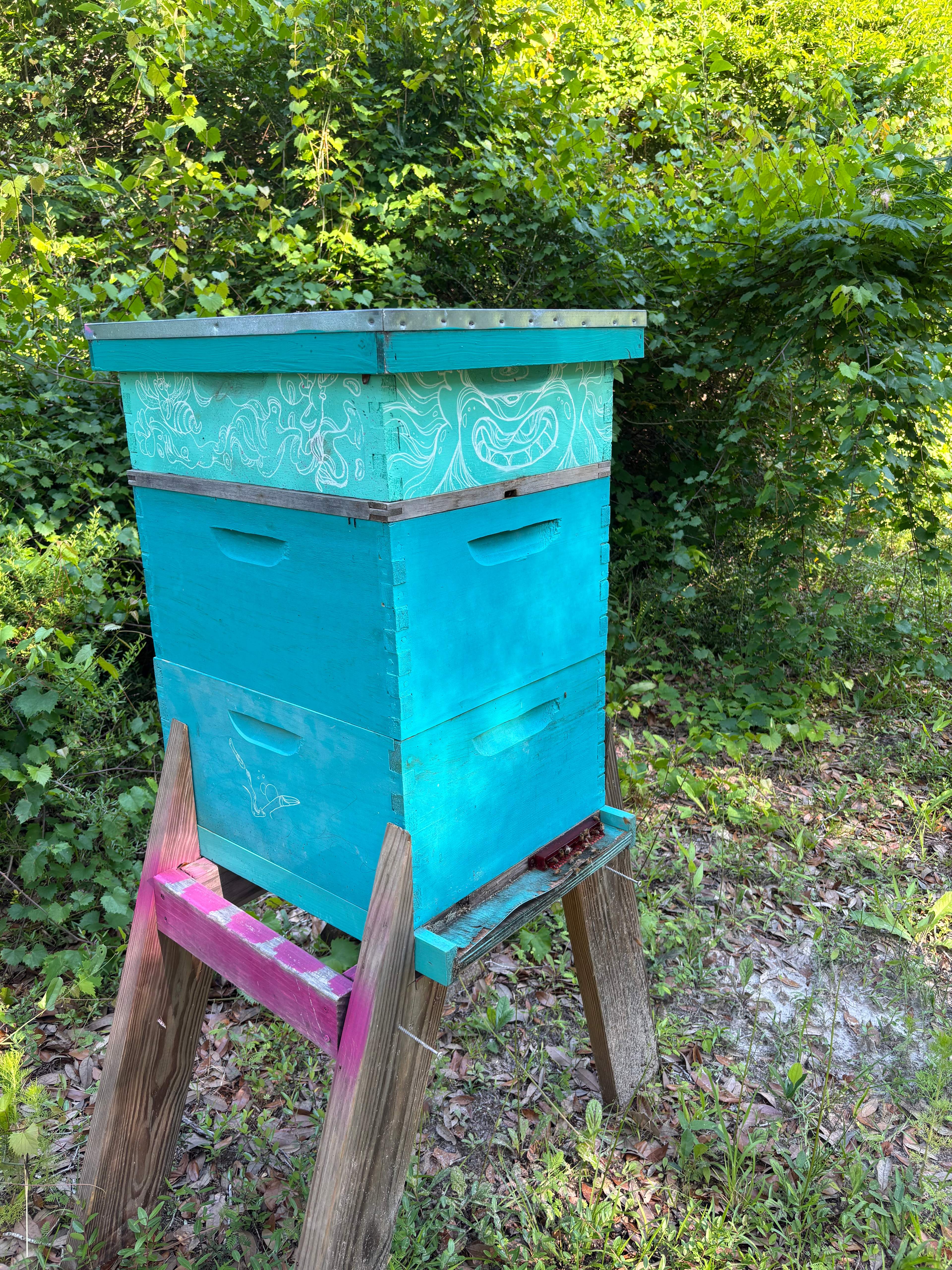 A bee hive