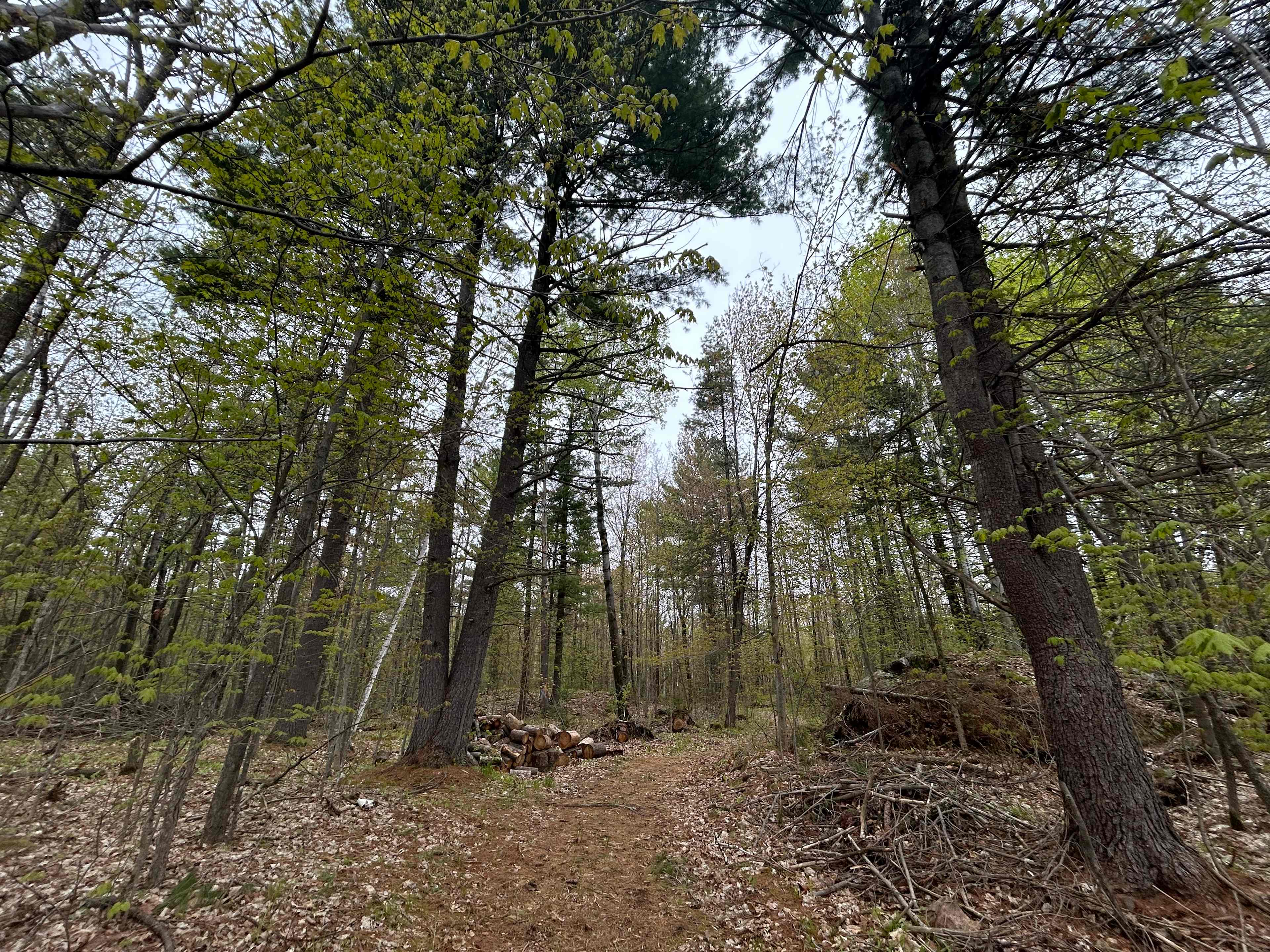 Agape Gardens - Nature Retreat