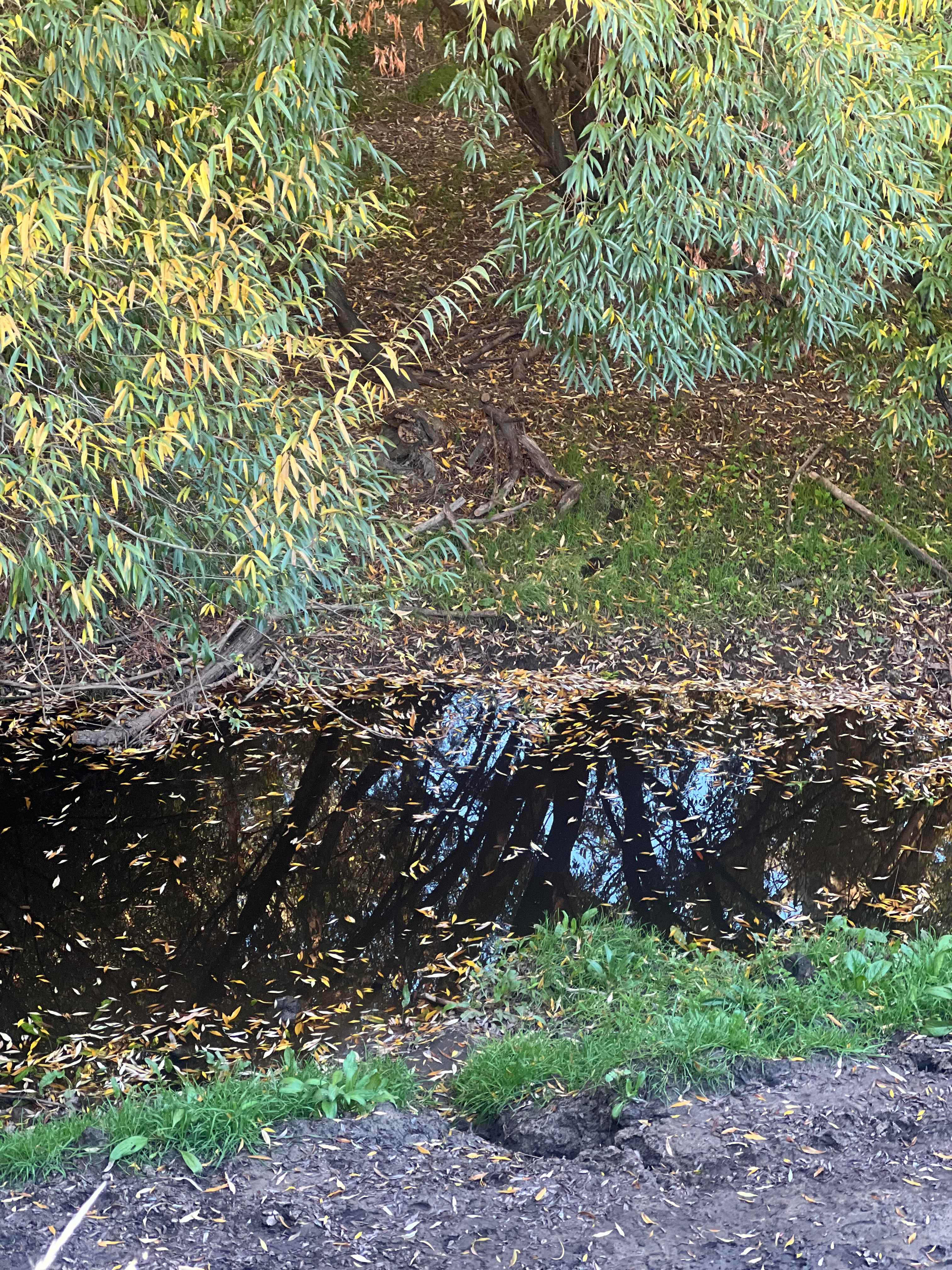 Glenmaye Farm – Creekside Camping