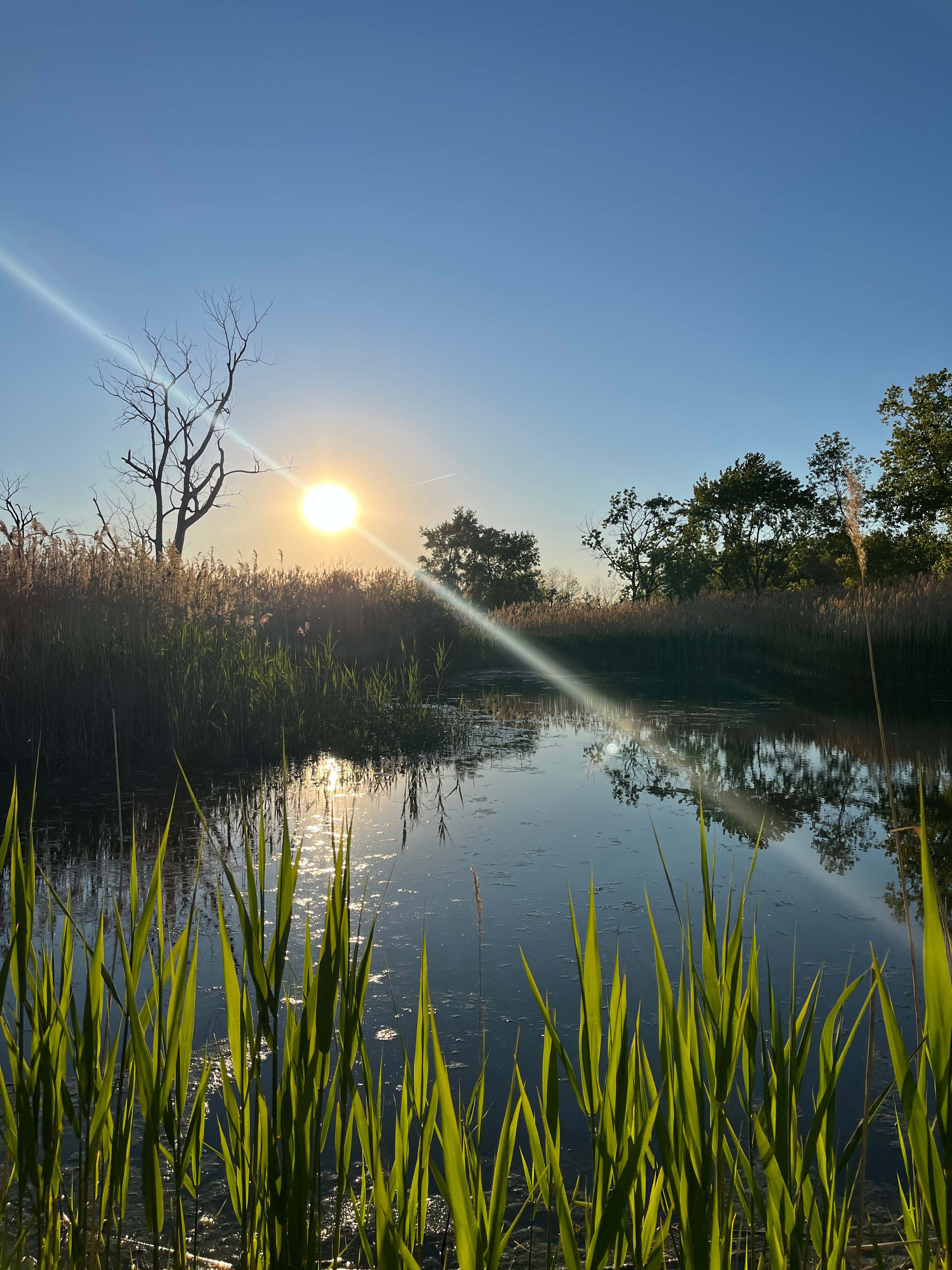 Riverside Camping