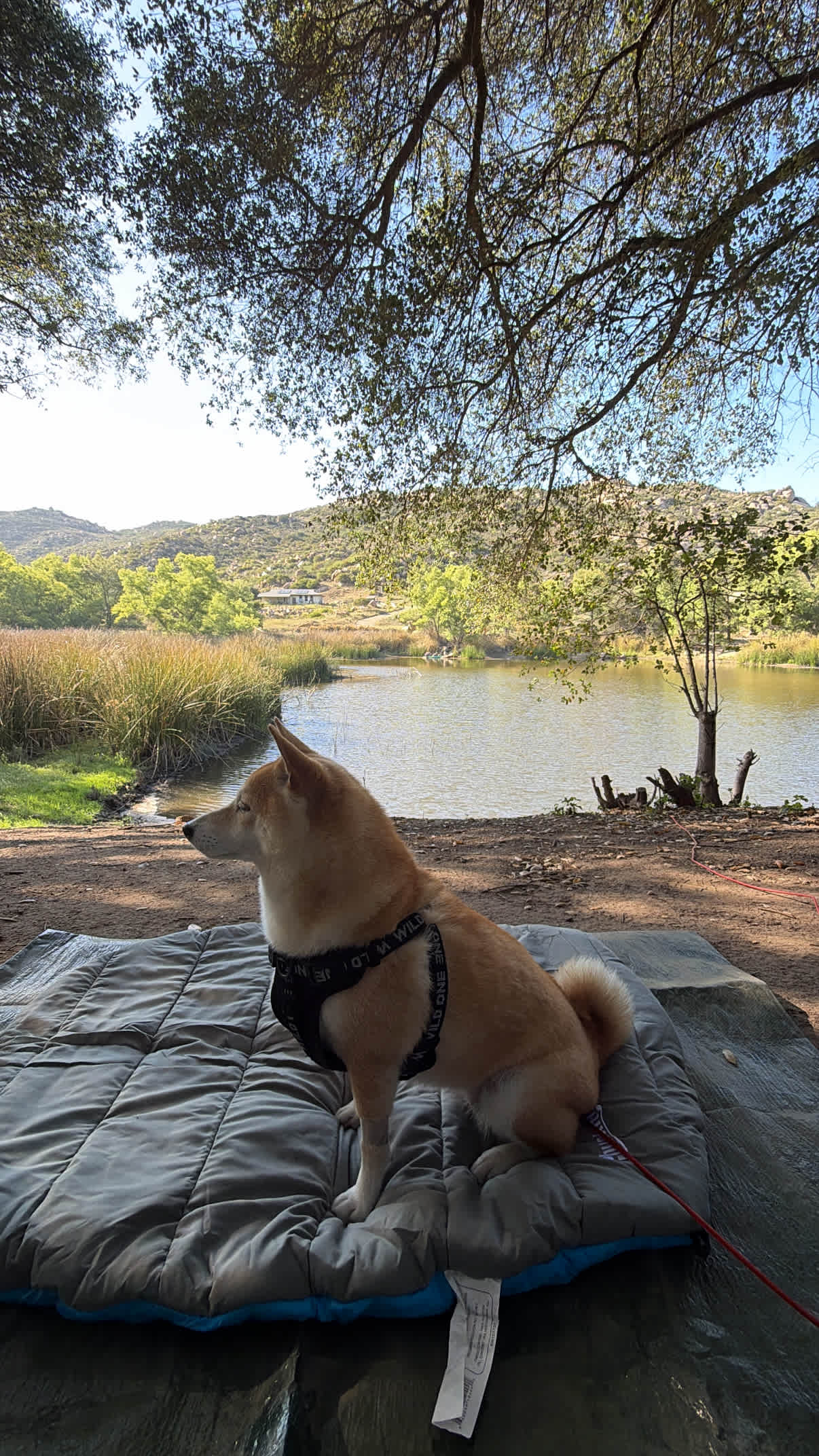 Hidden Lake