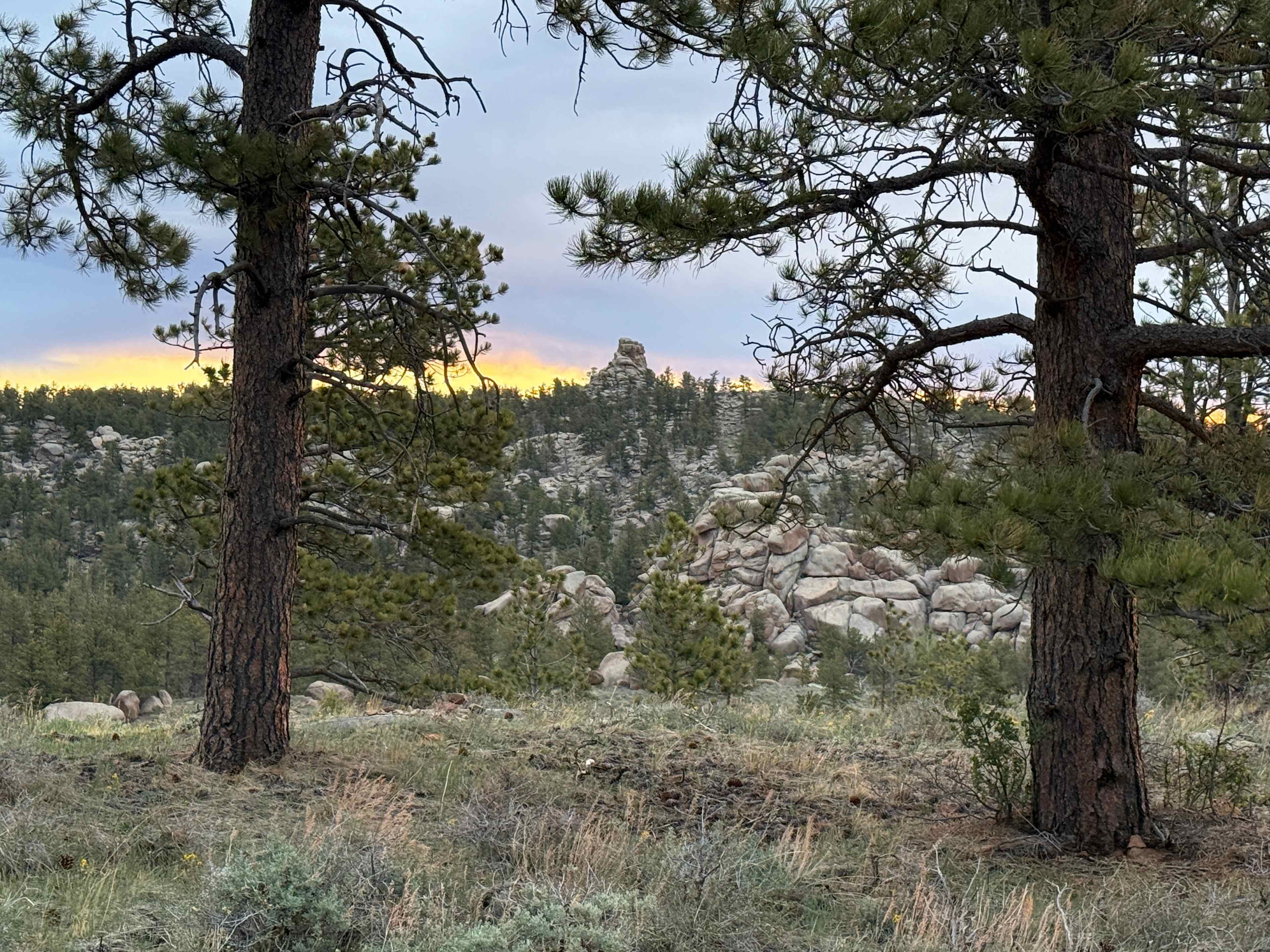 Buford Canyon