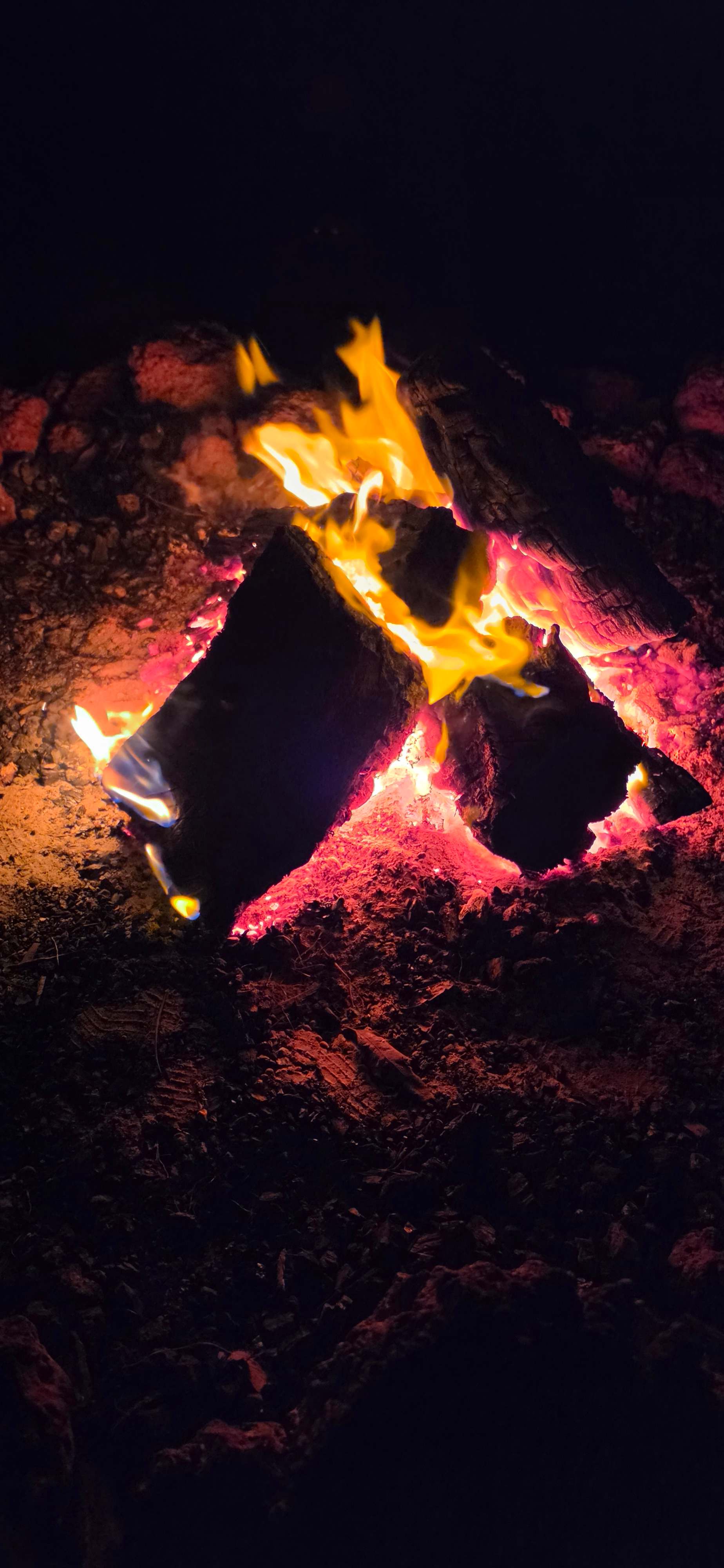 Wood fire we bought from there