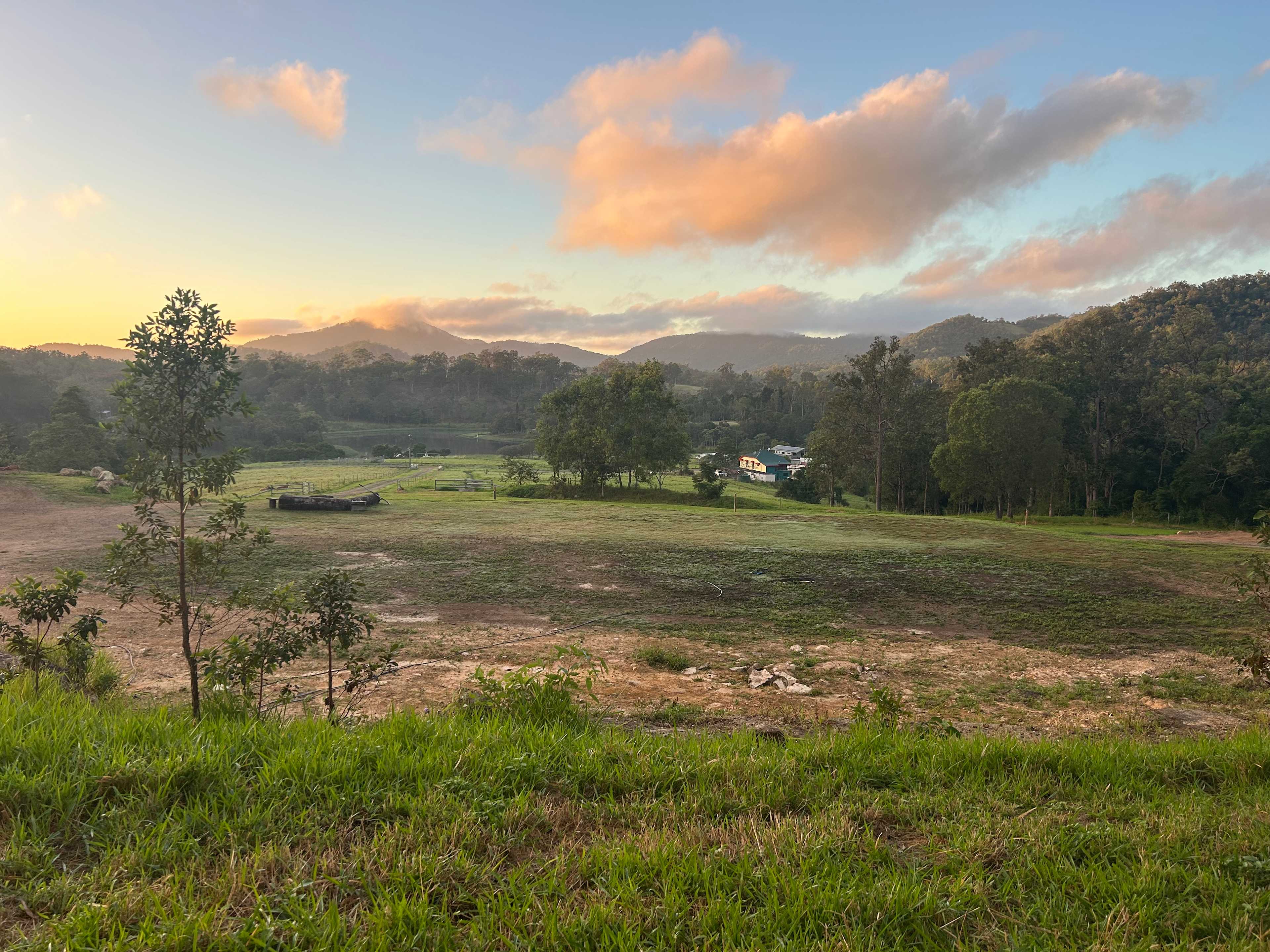 Wallaby Downs