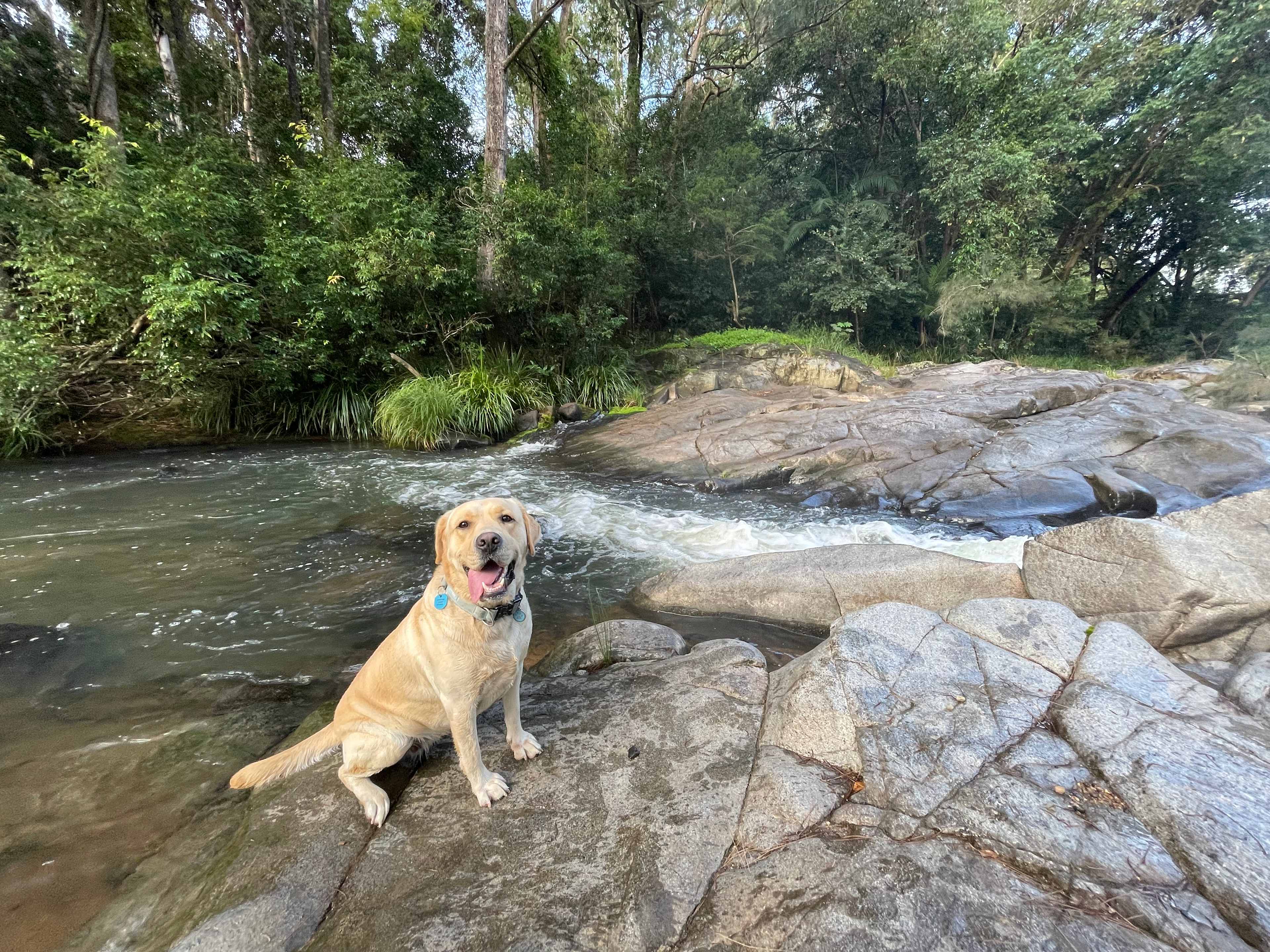 River Run Camping
