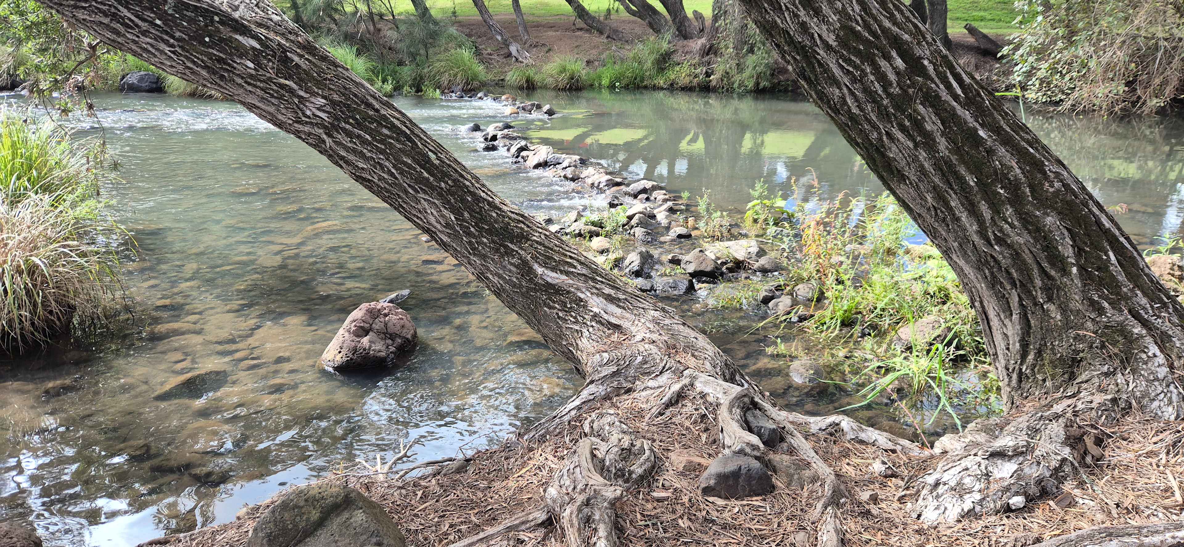 Albert River Hideaway