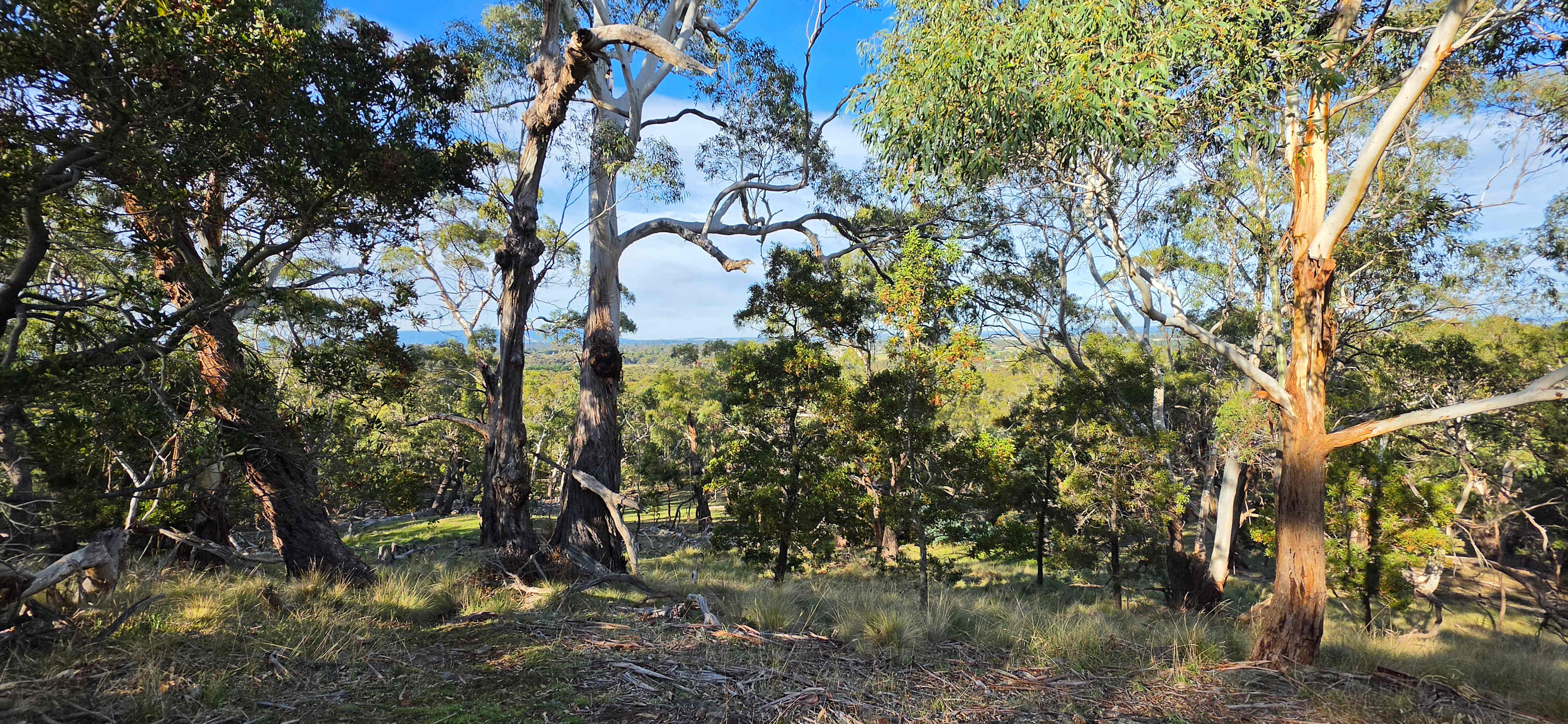 Kyneton Quiet Camp Out