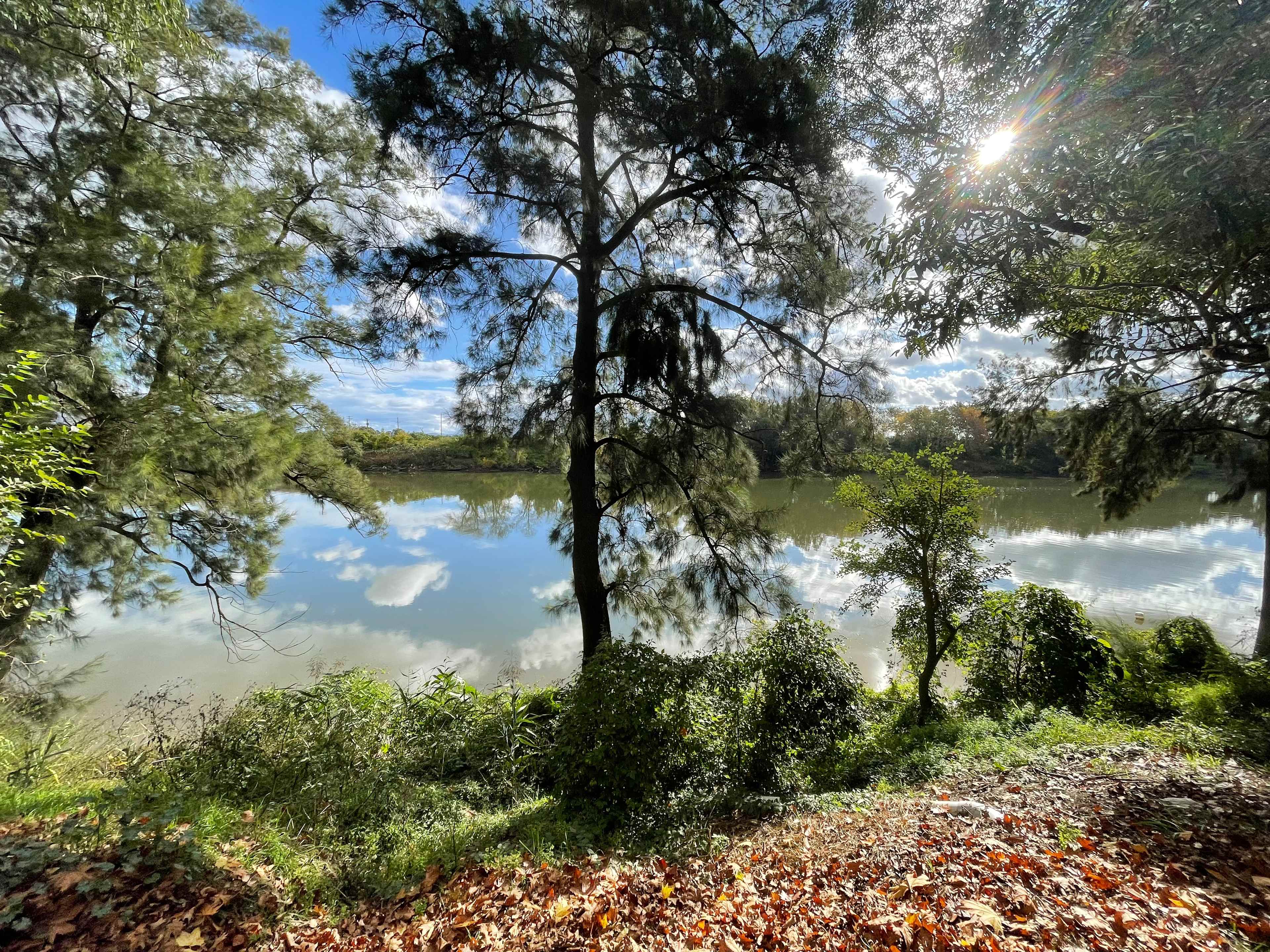 Down by the Hawkesbury - Exclusive