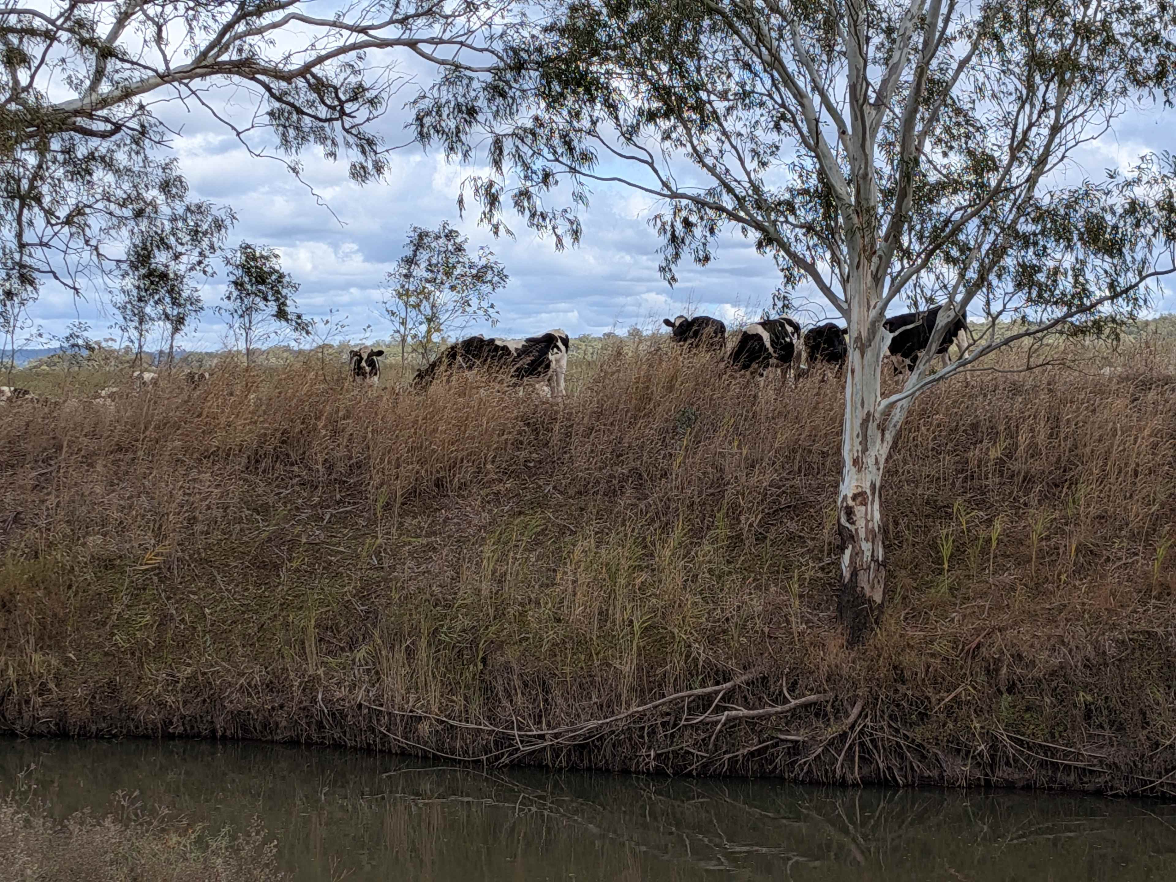 Warrego Farm