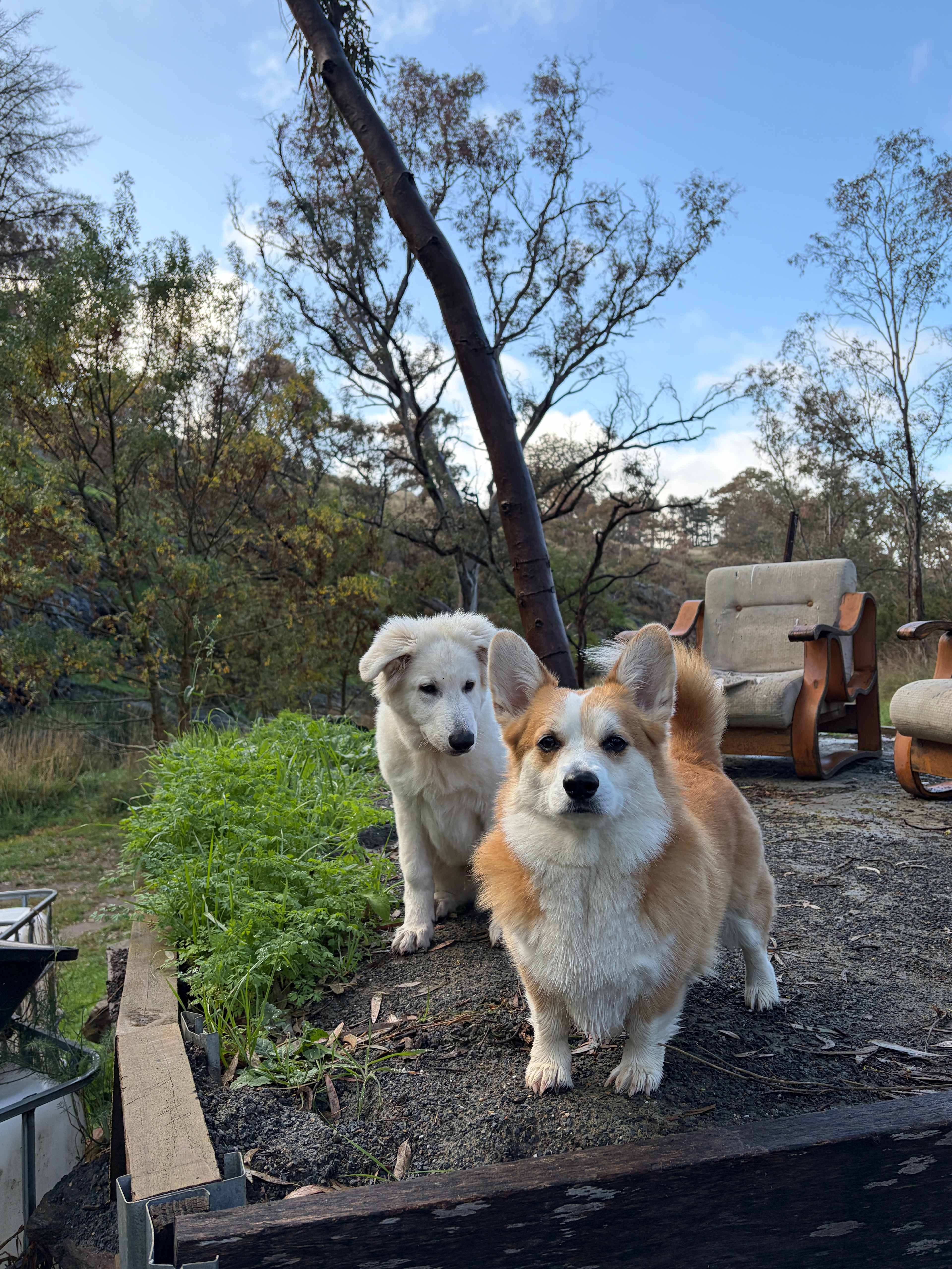Sunset Rocks Farmstay