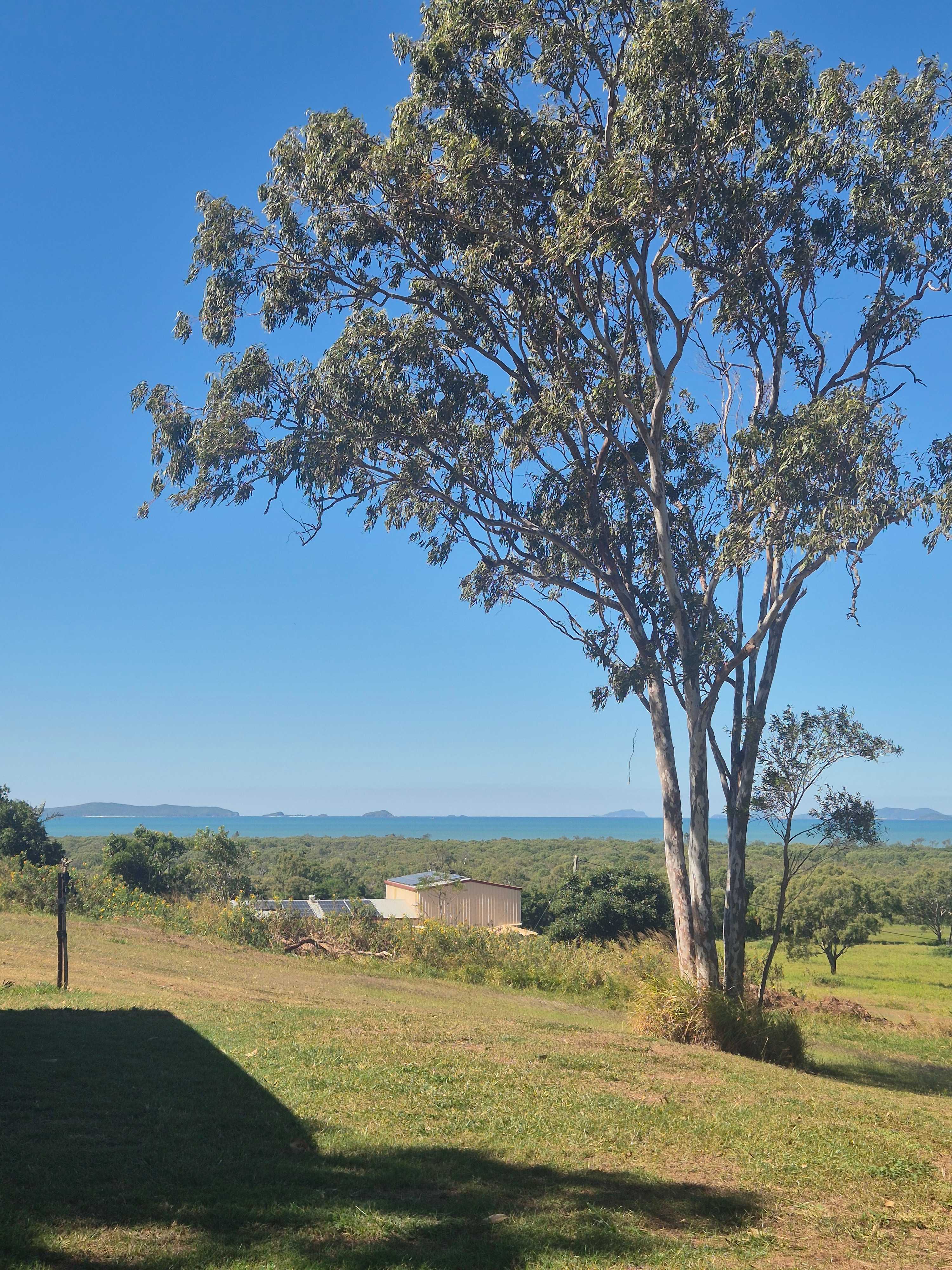 Yeppoon Farmstay