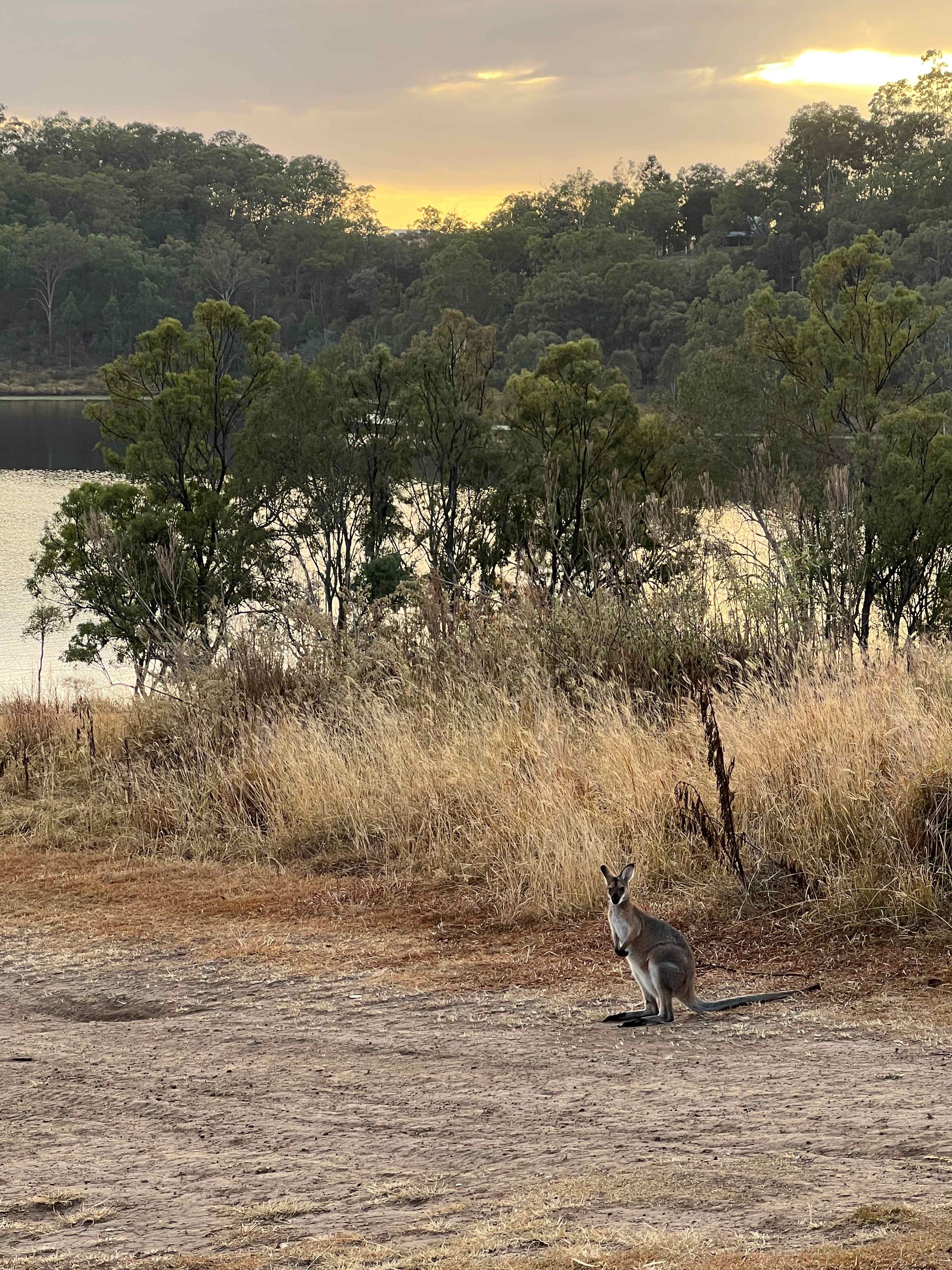 Pointro Bunkhouse and Campground