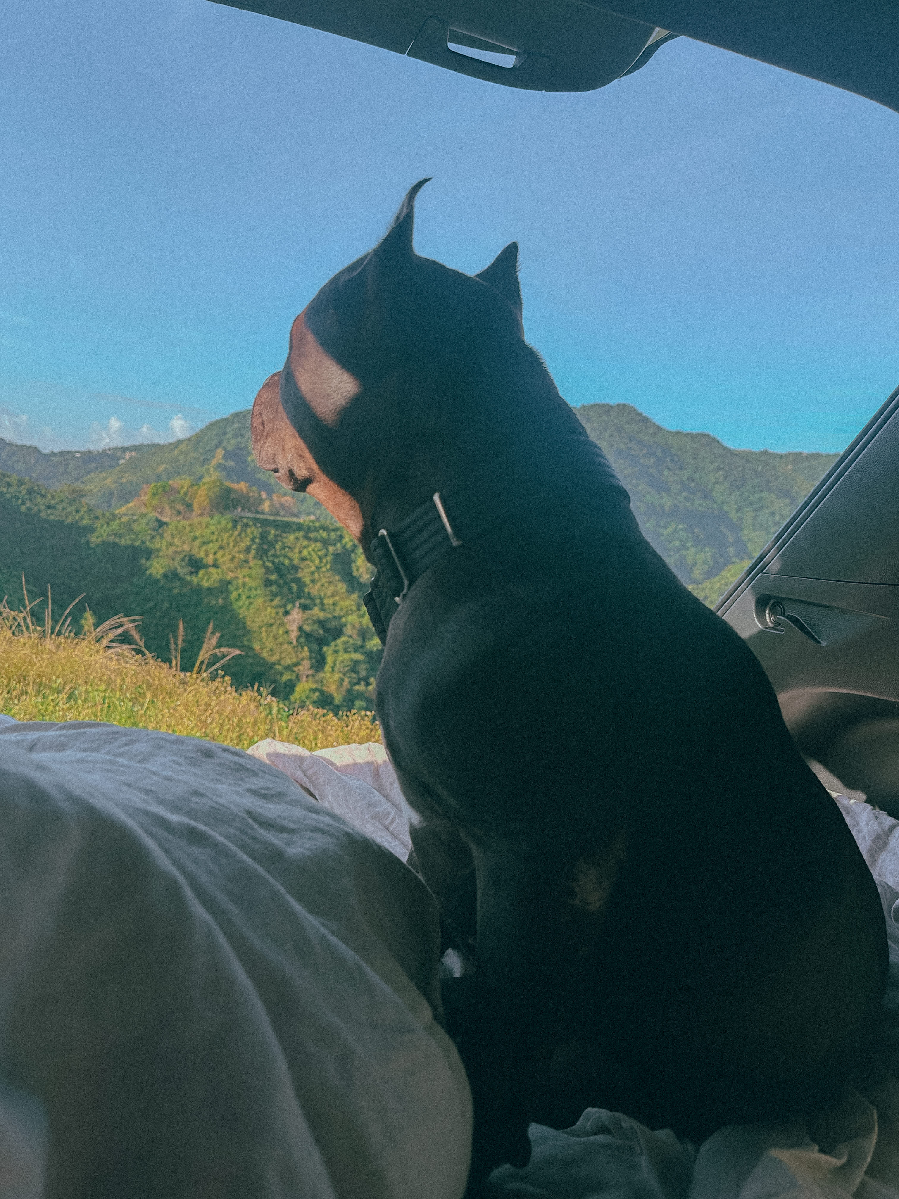 Mountain Retreat