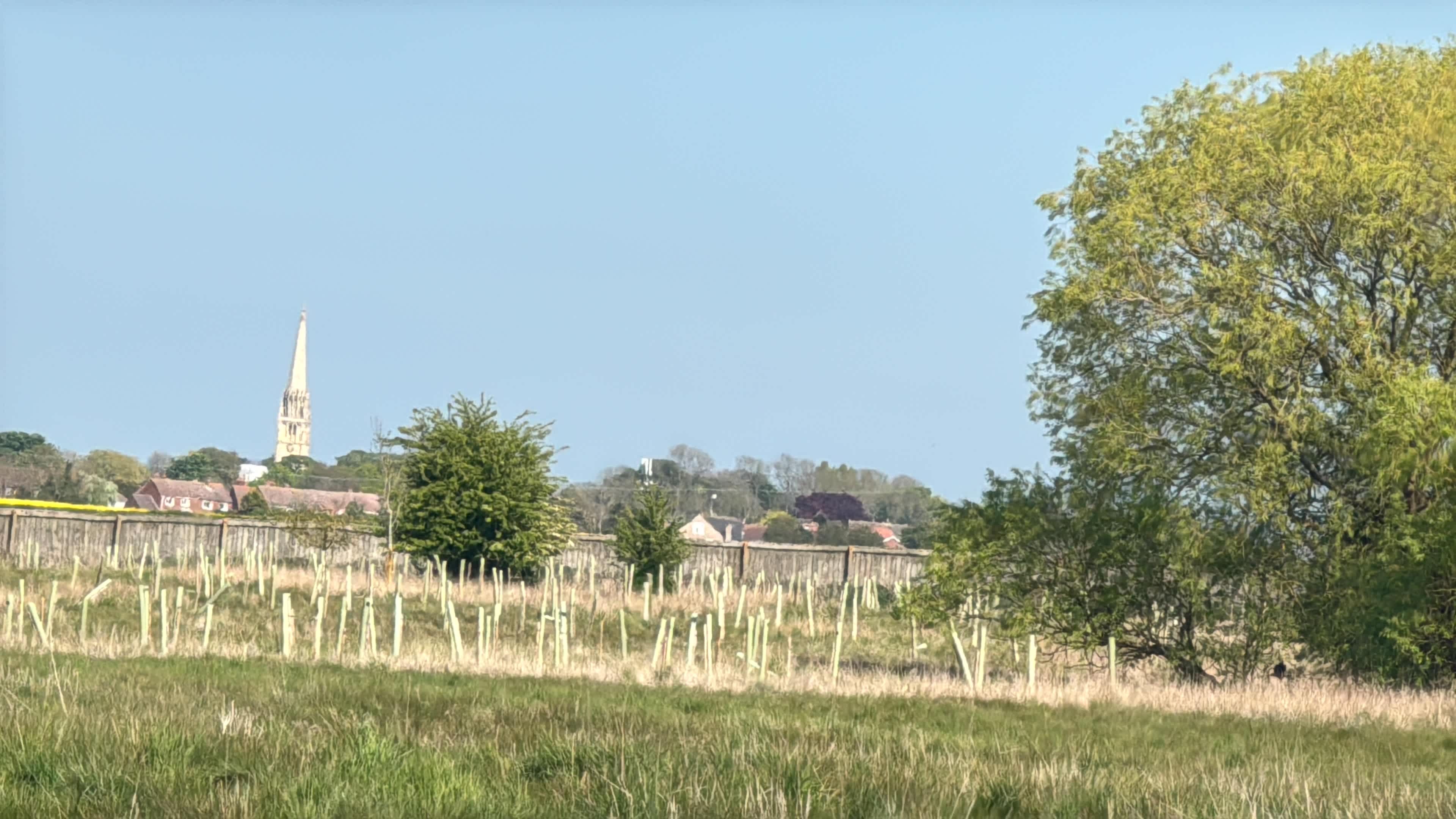 Picture of the site