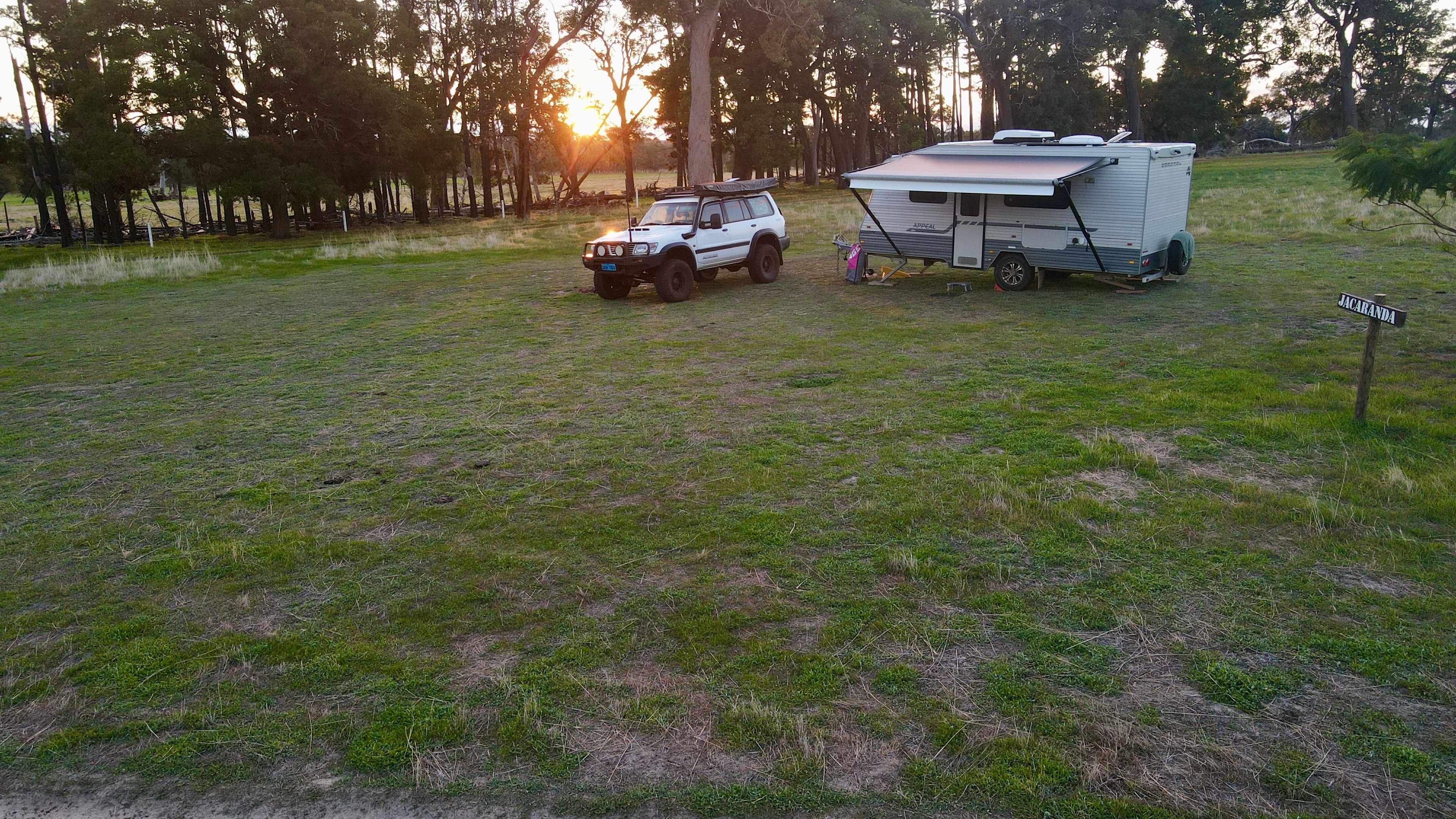 Jacaranda Hill Farm