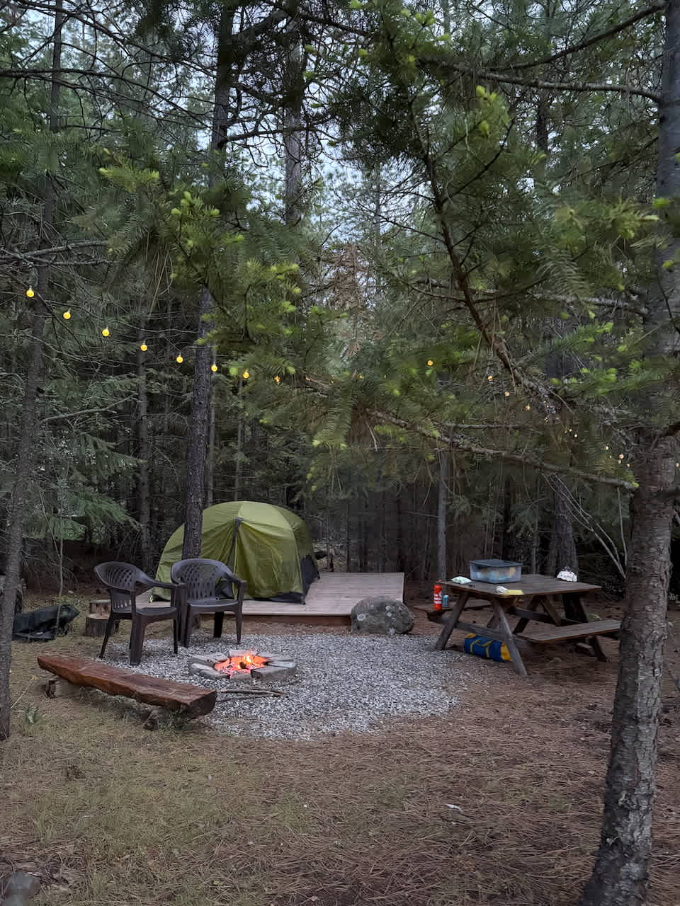 SPOKANE CAMPING In The Forest
