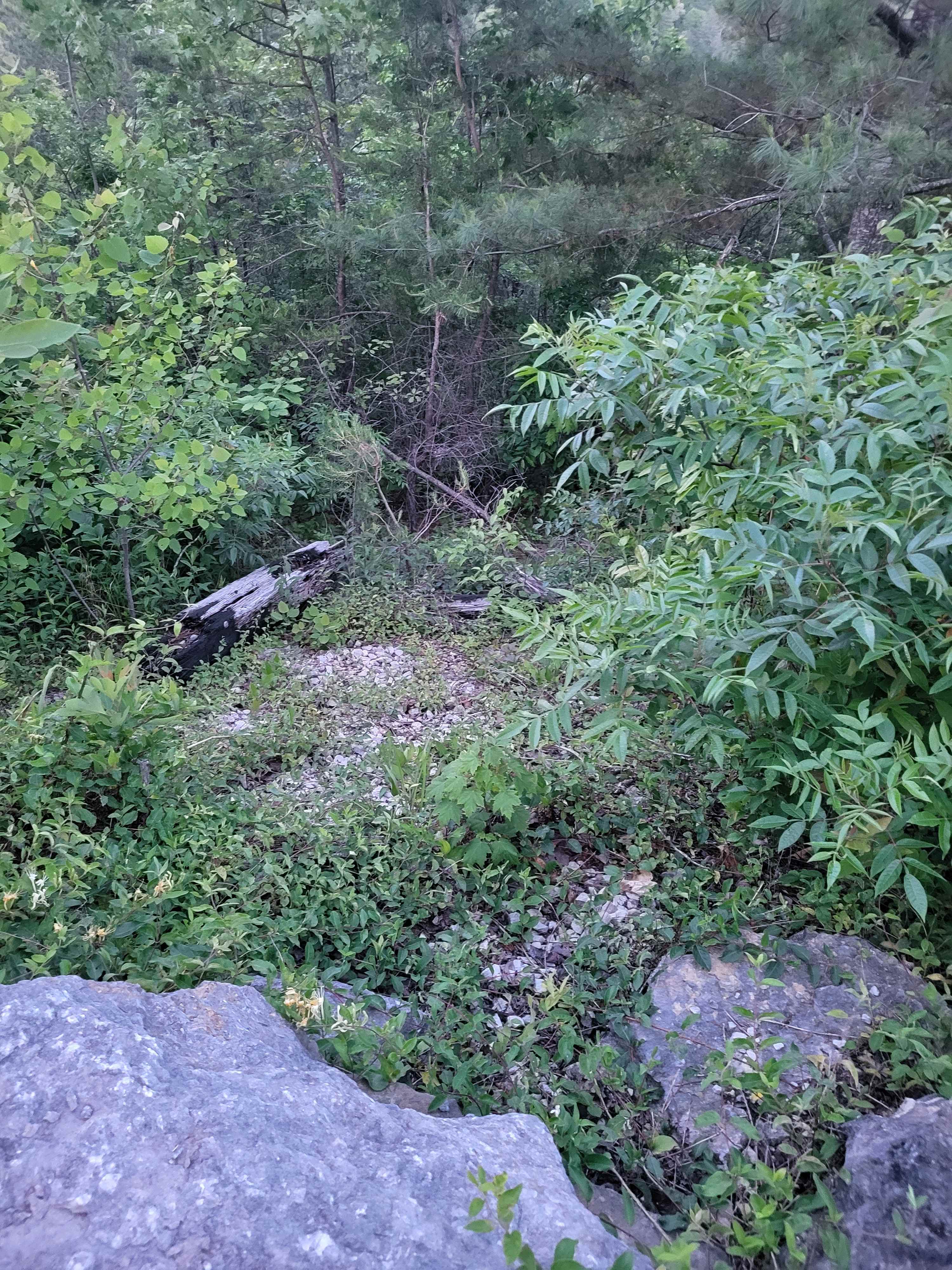The decline, hard to see exactly how steep but it was