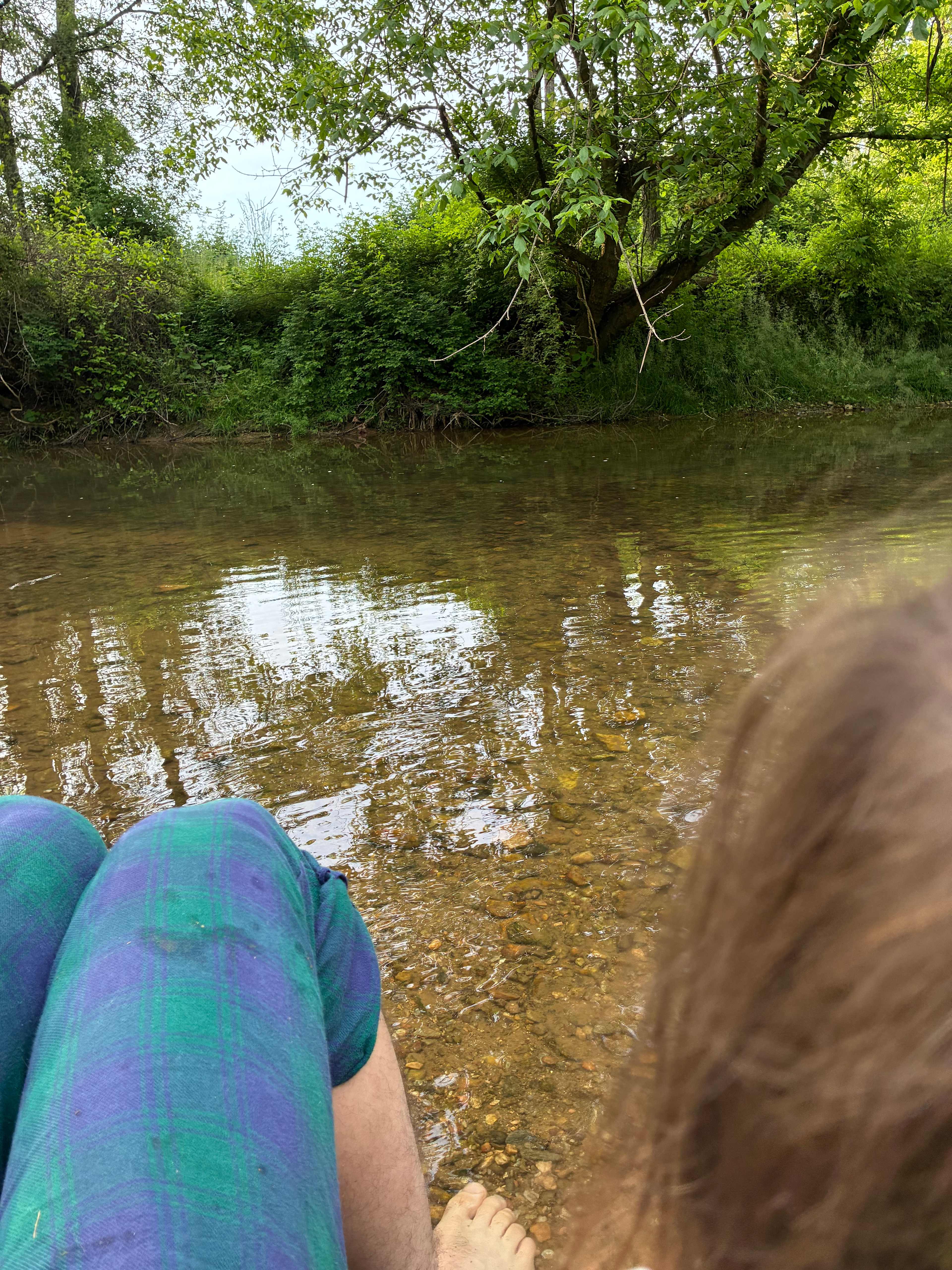 Conowingo Creek Campsite