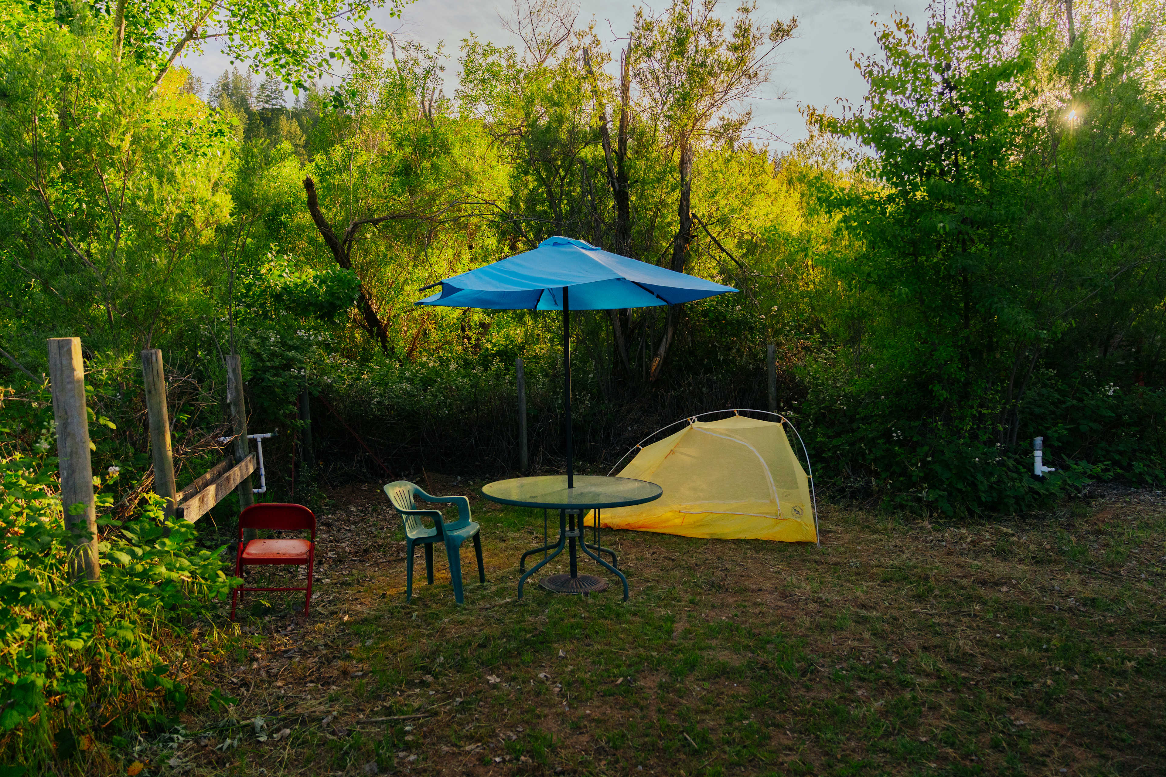 Picture of the site