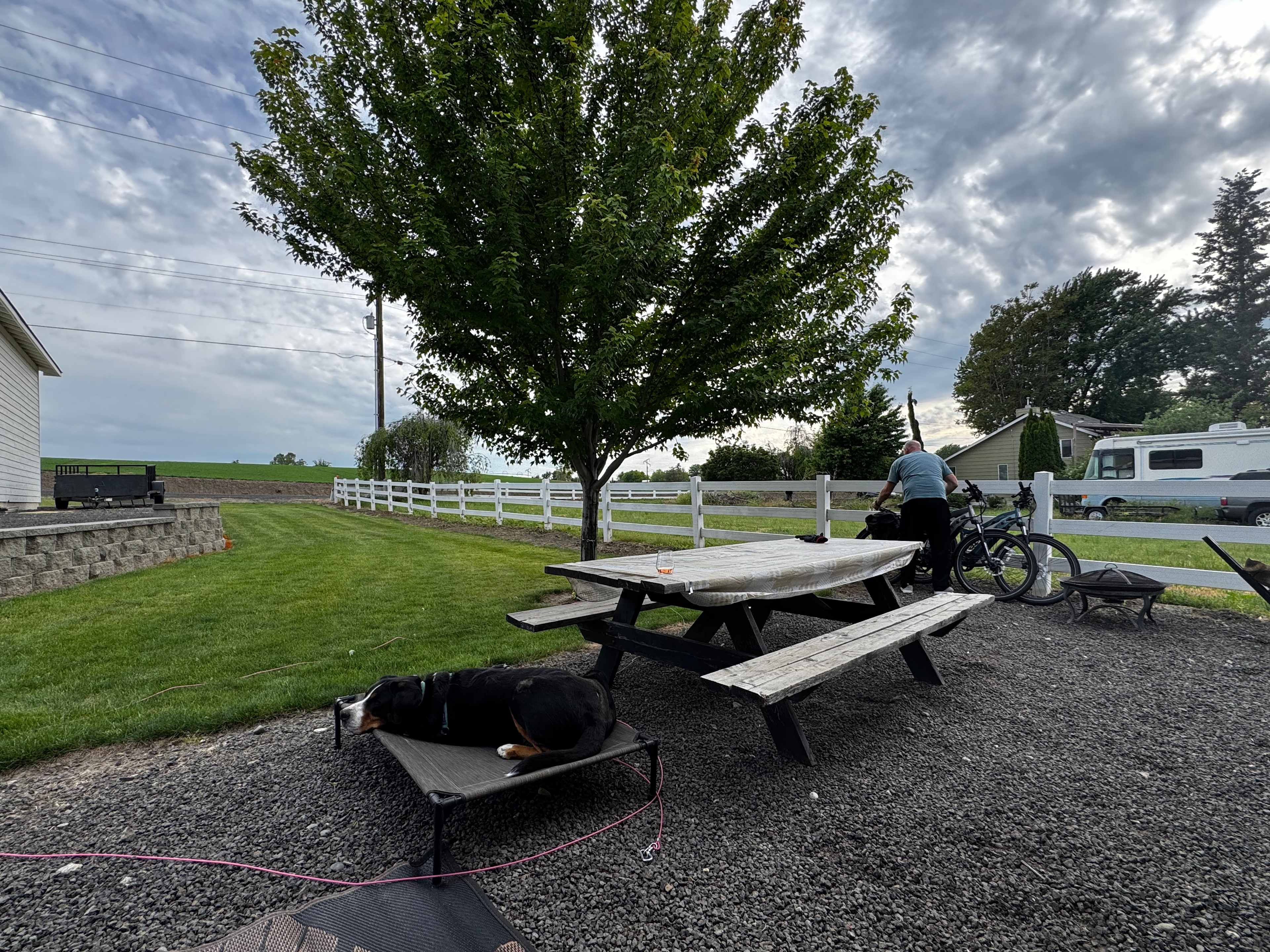 Picture of the site