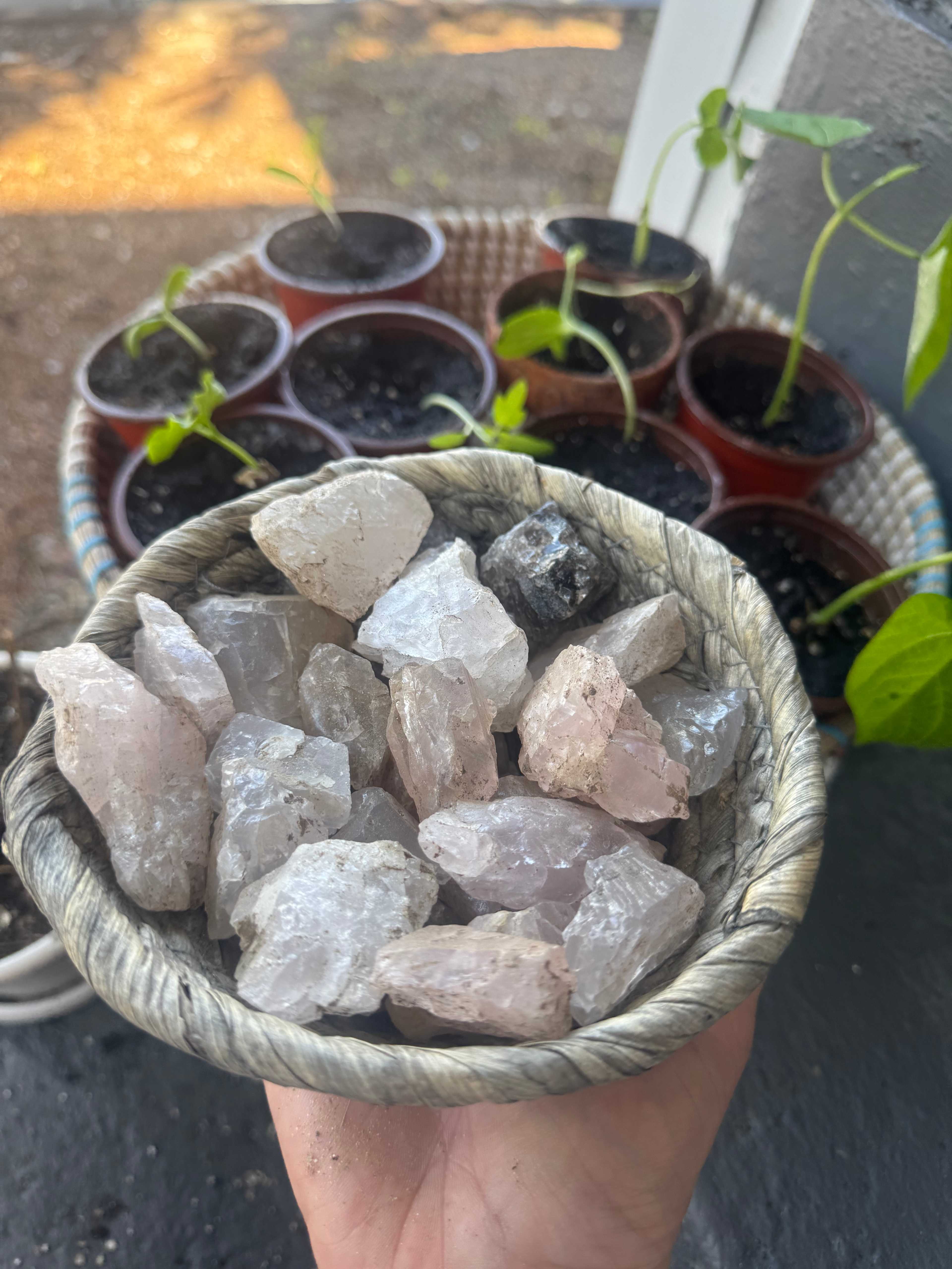 Tripp Mine Gemstones & Camping