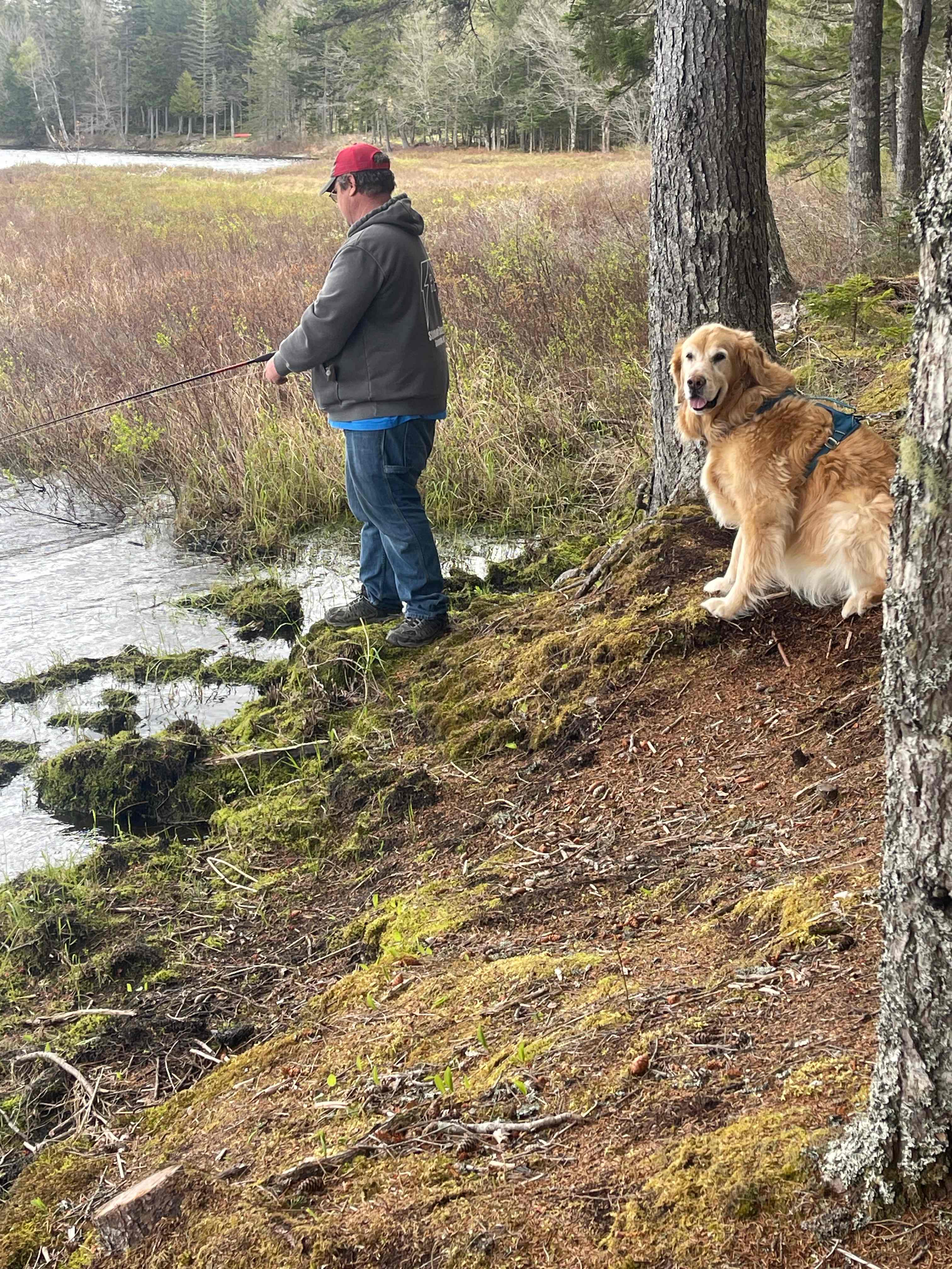 At the bank of the shore