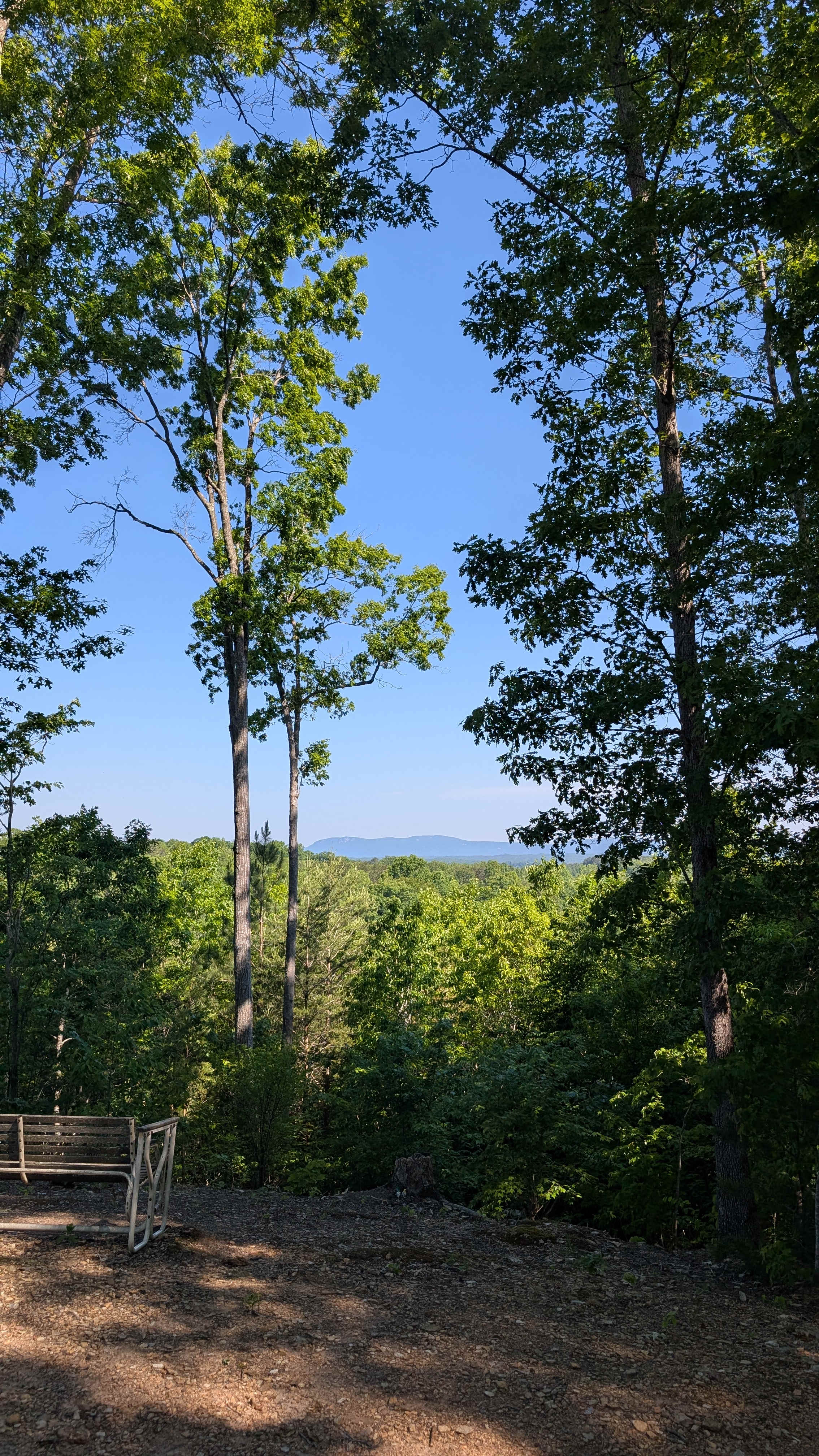 The Rocky Knoll