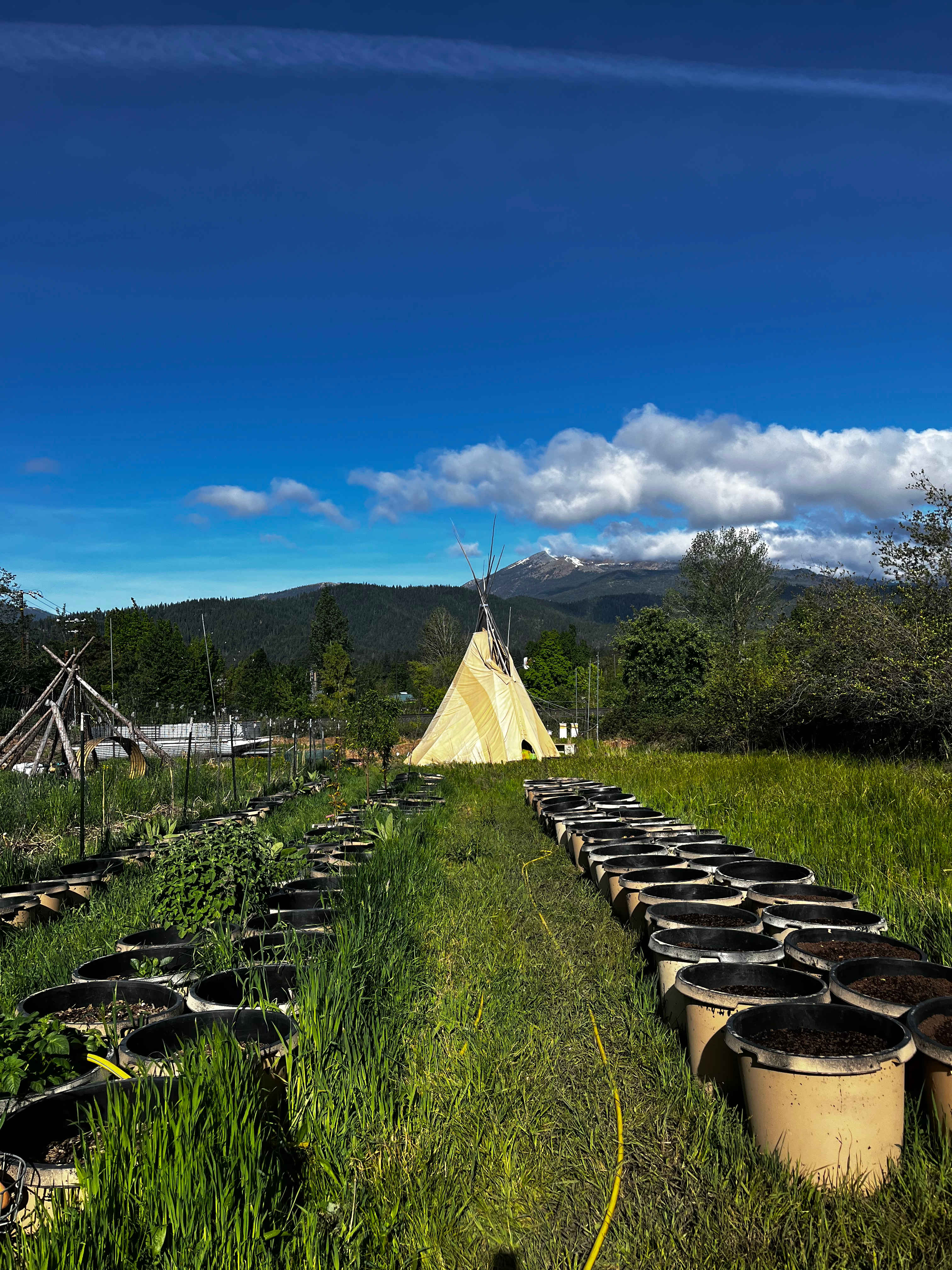 Shasta Gardens