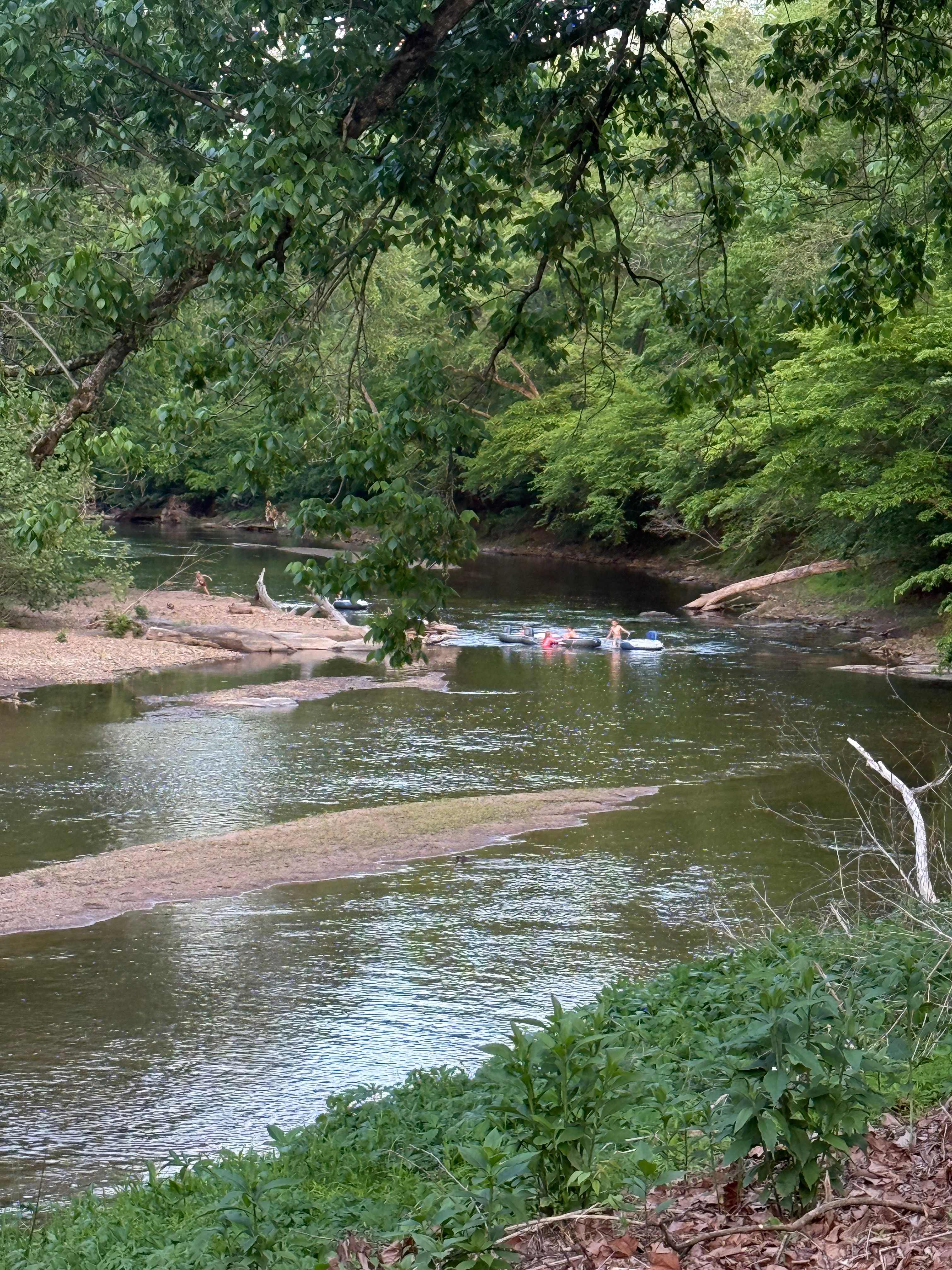 Camping on the Hazel River