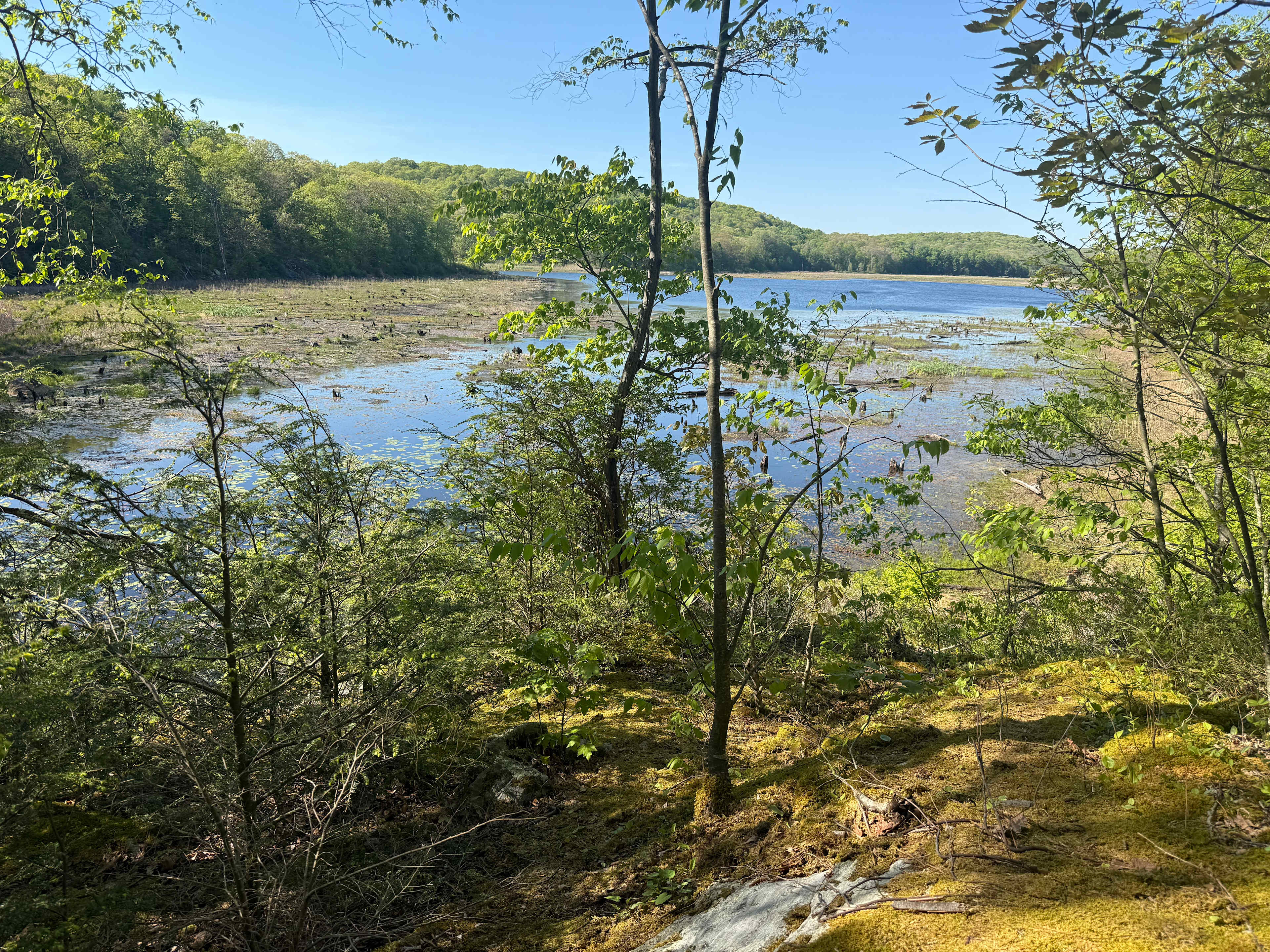 Dunker Pond