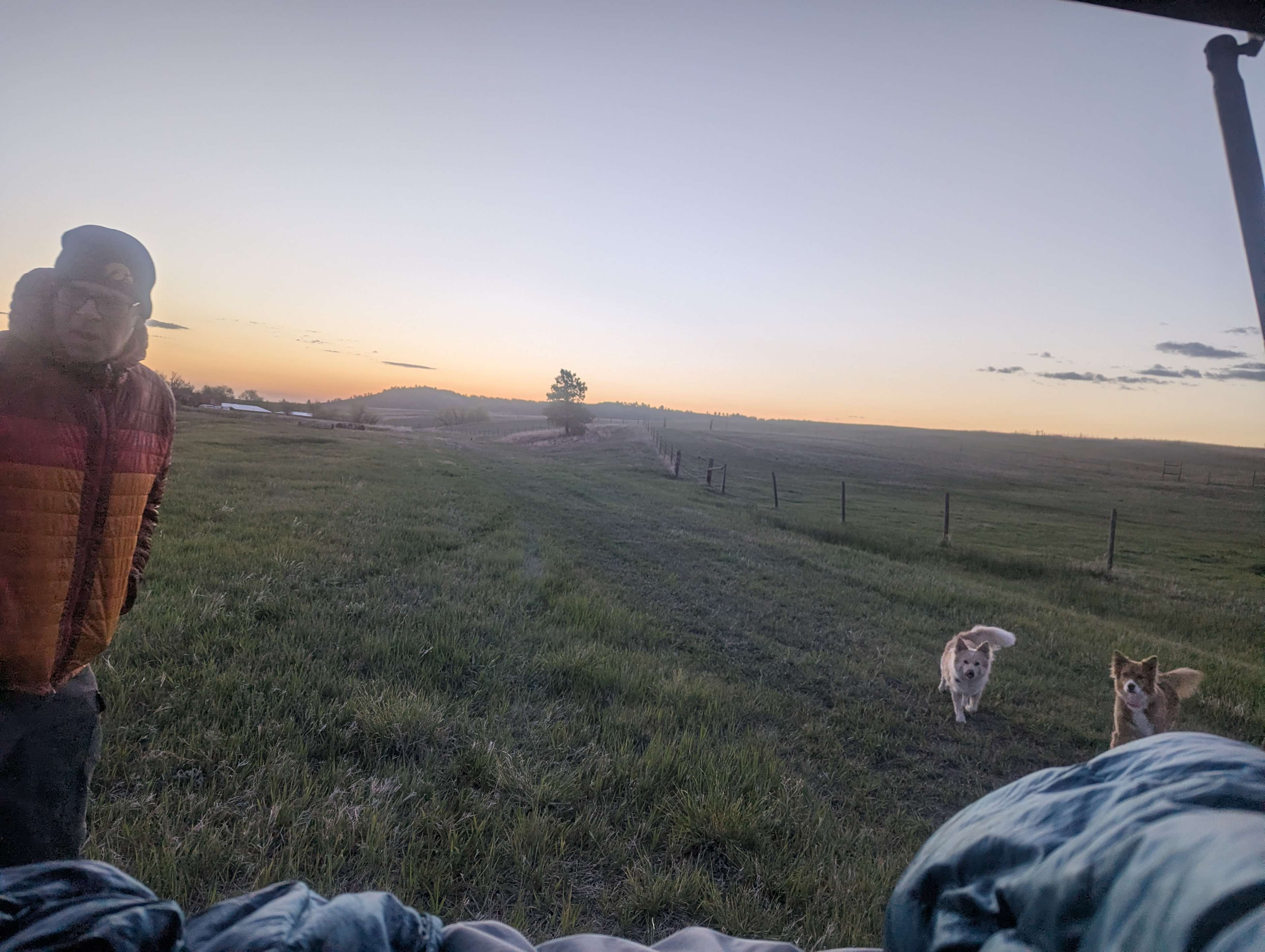 Picture of the site
