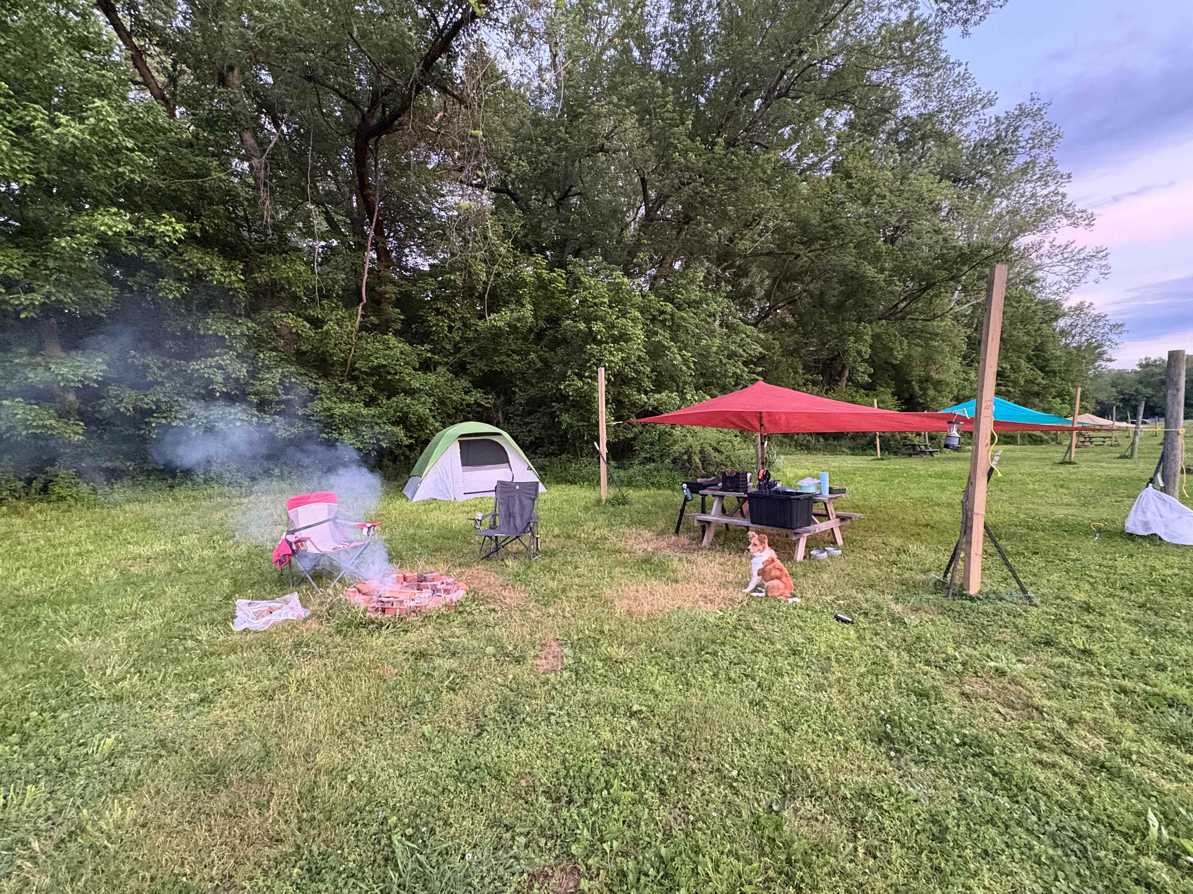 Site 11