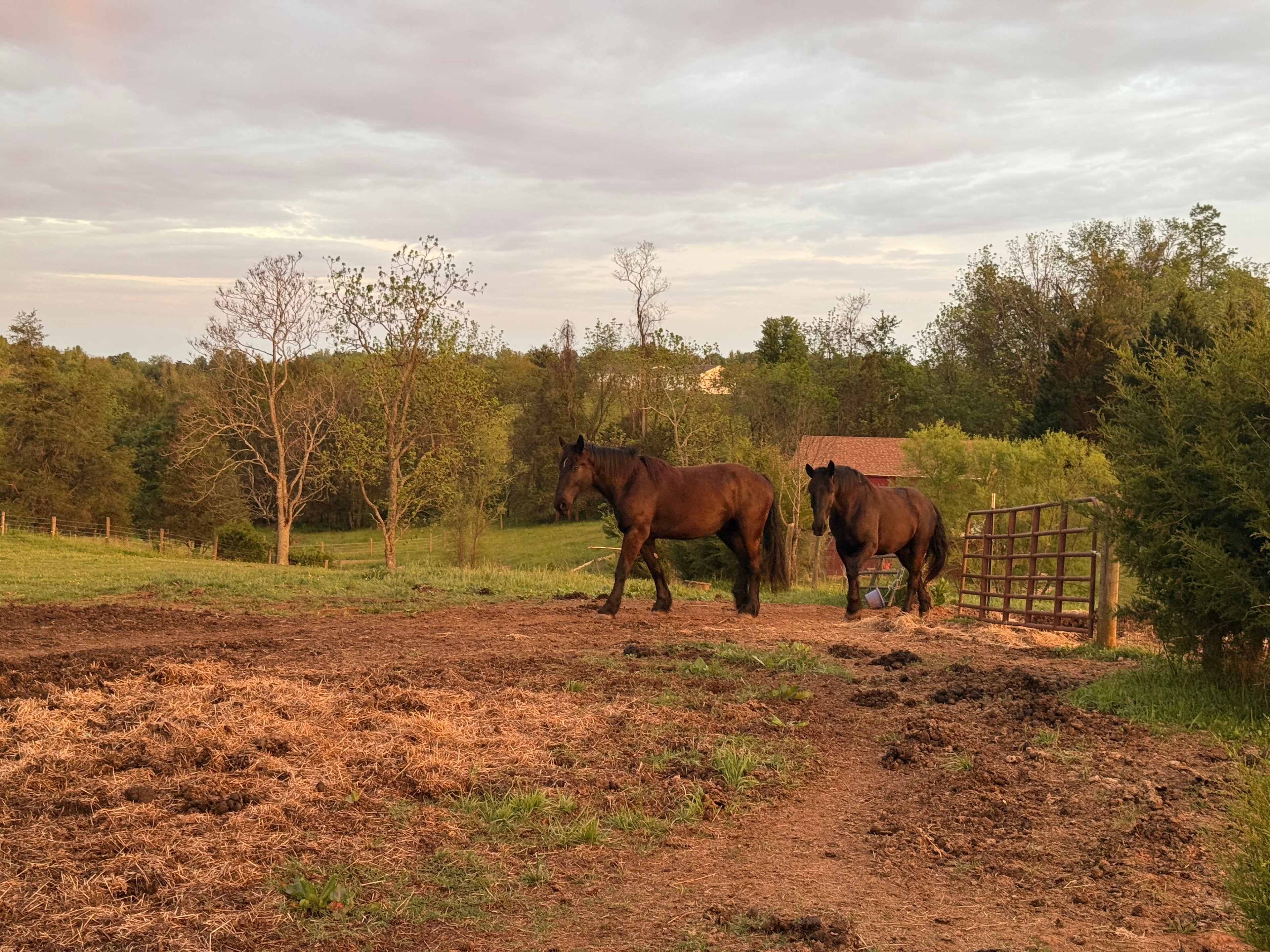 Narrow Gate Farm