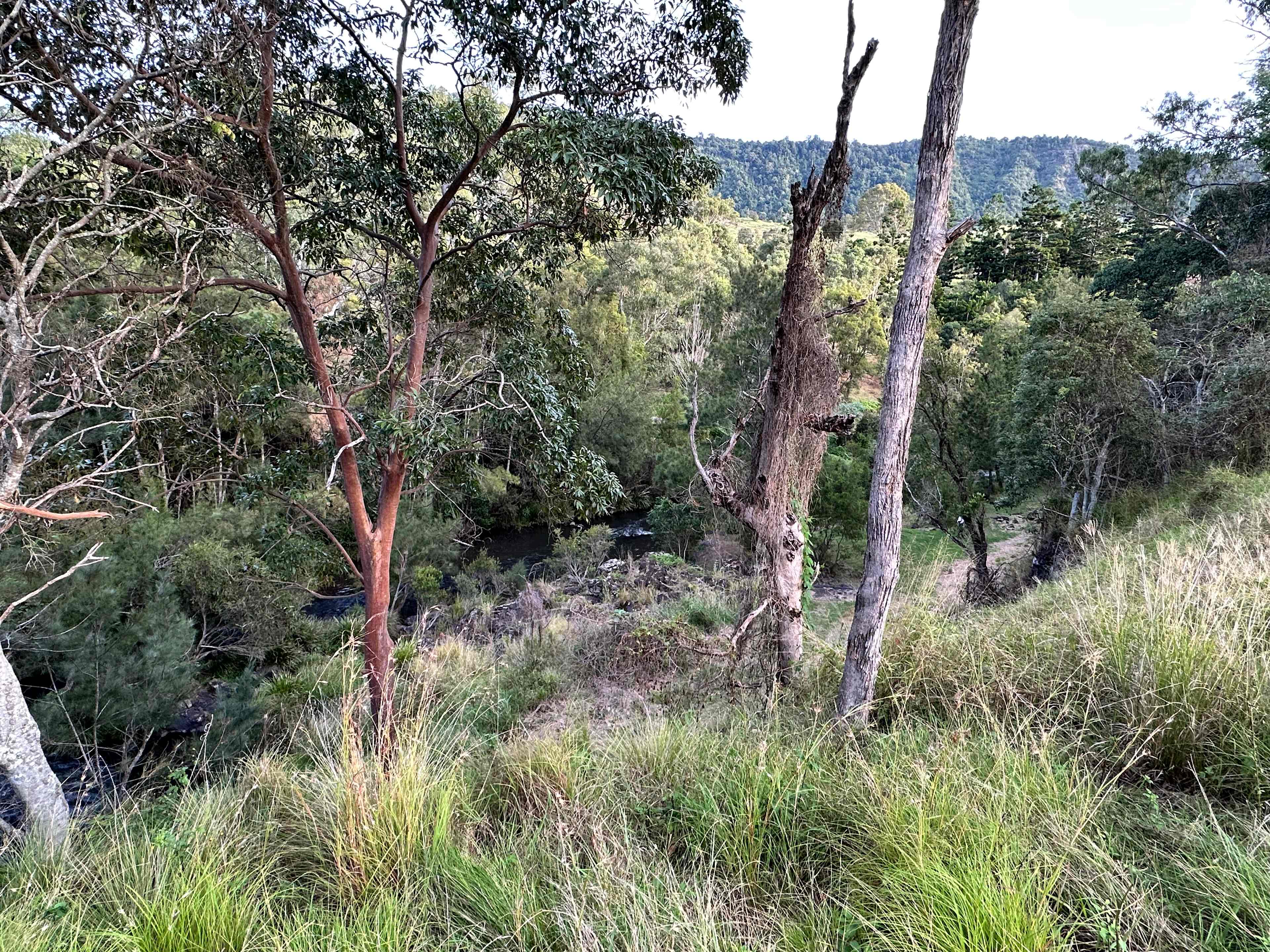 Andrew Drynan Park-Camp with a view