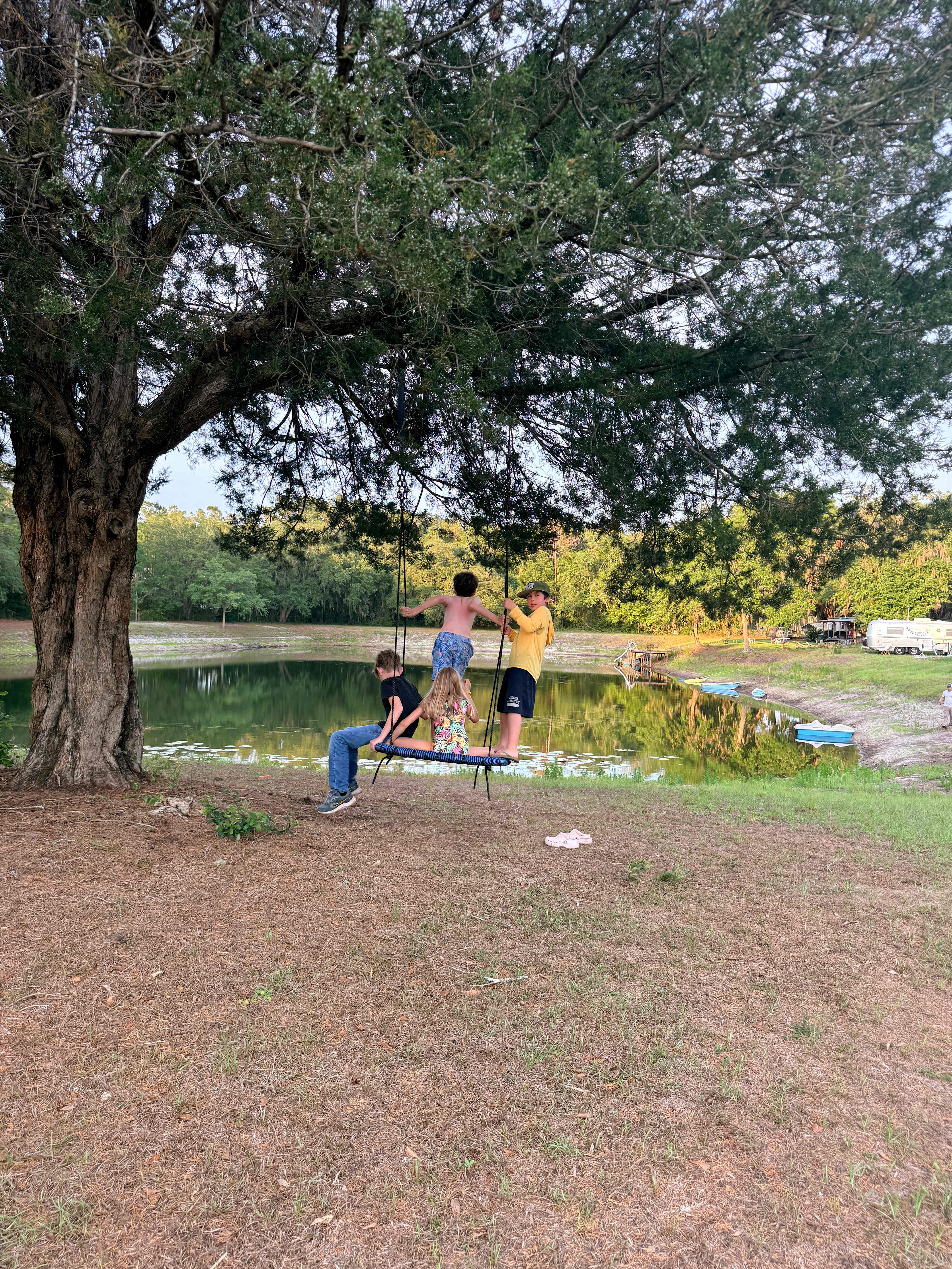 The kids loved the swing