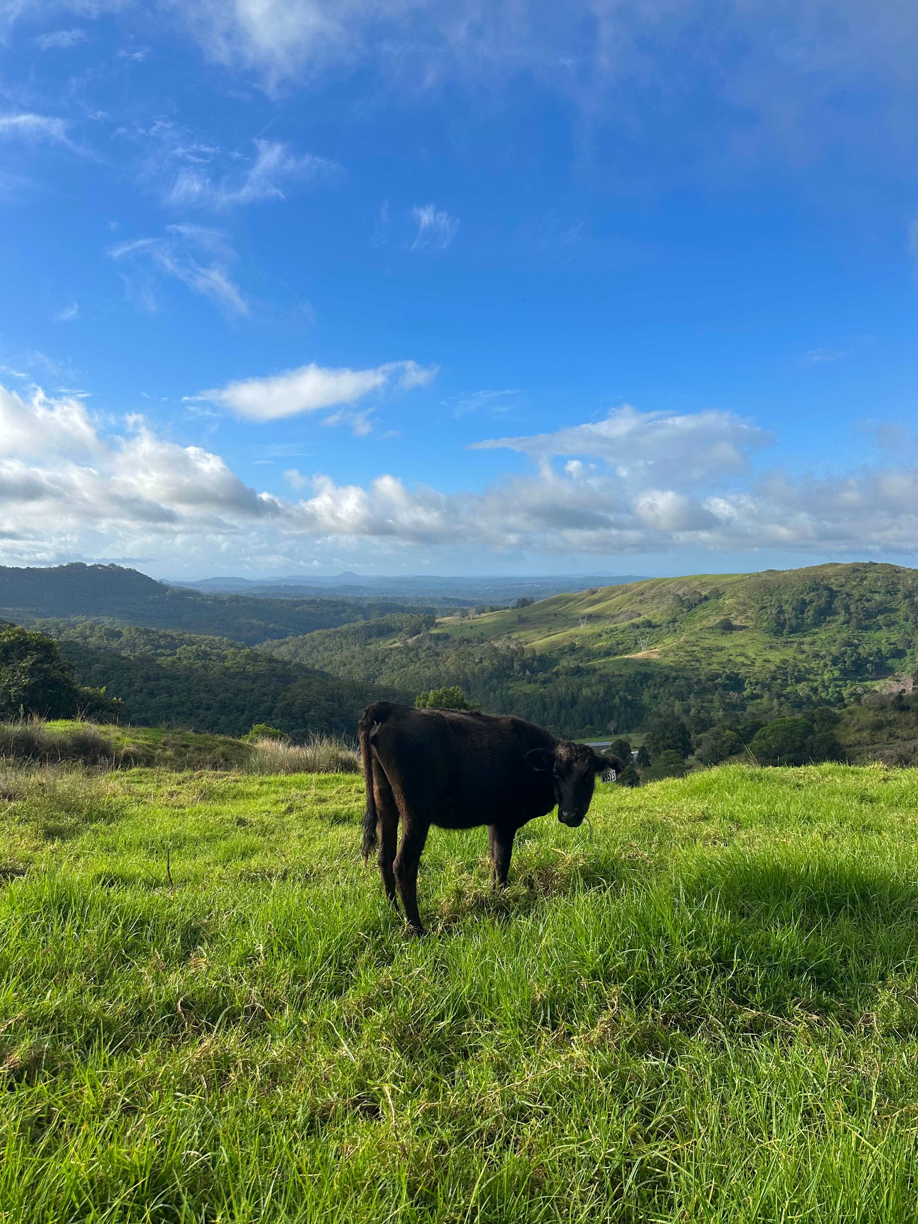 Riverdell Country