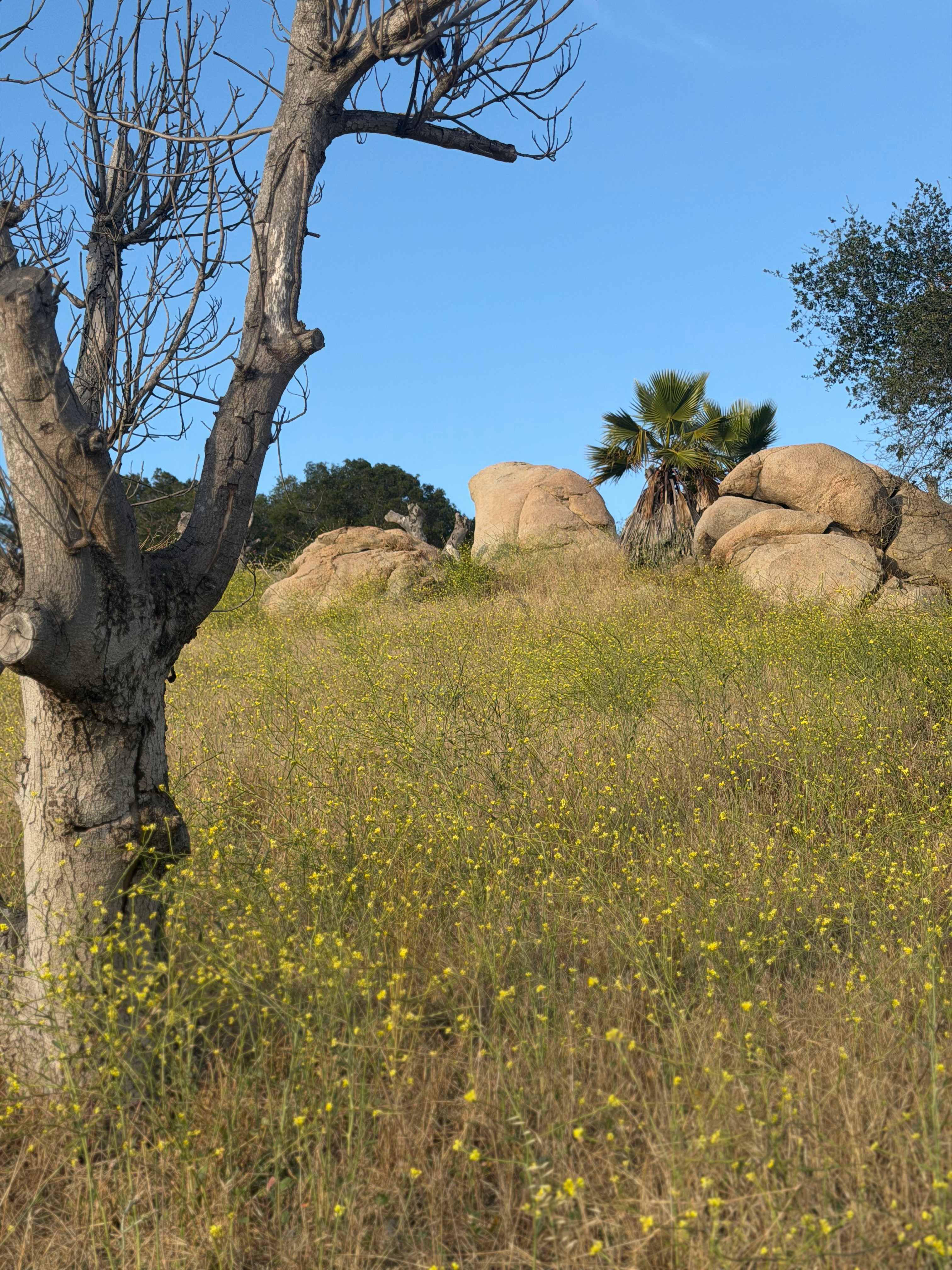 Splitrock Farm and Retreat