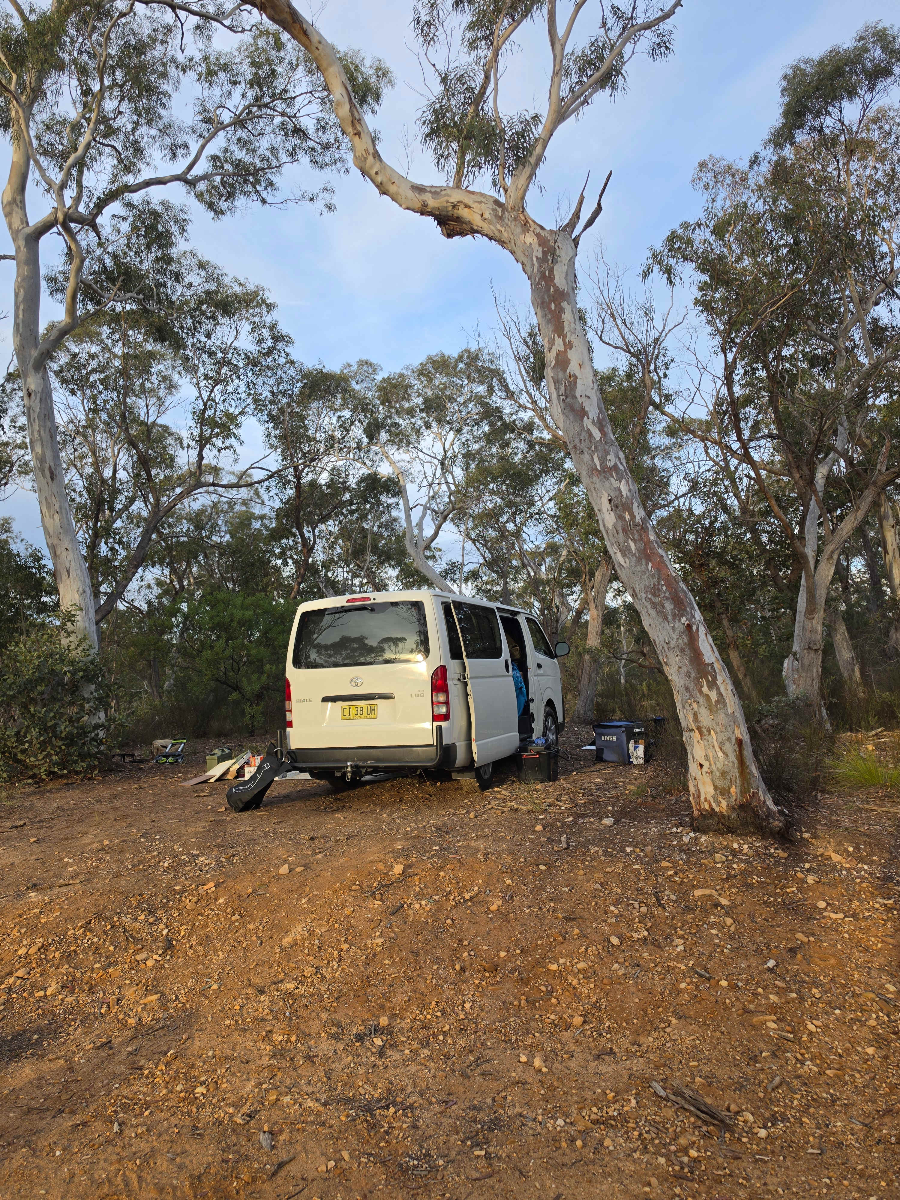 Picture of the site
